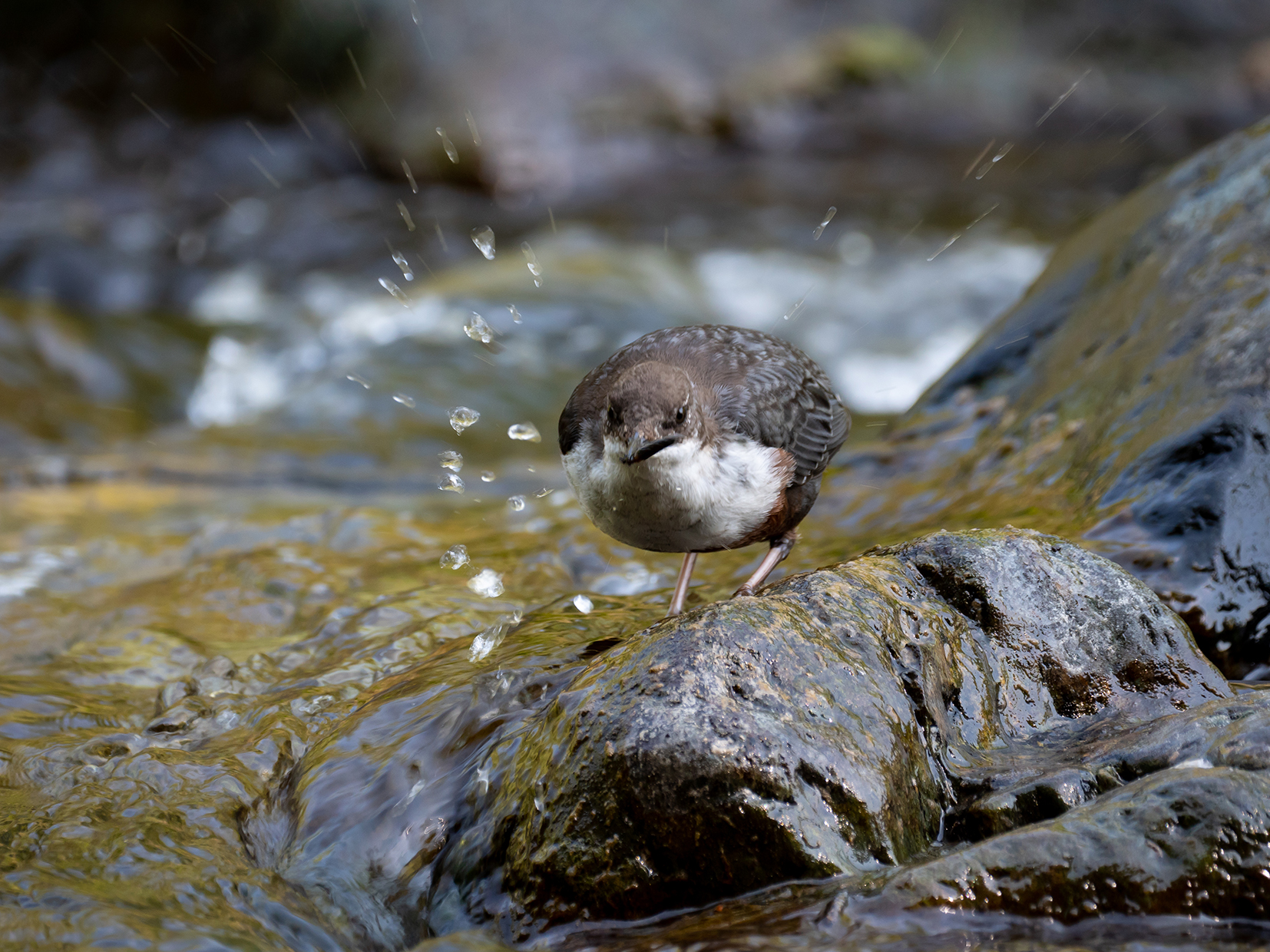 Come pulire un tricottero dalla sabbia.