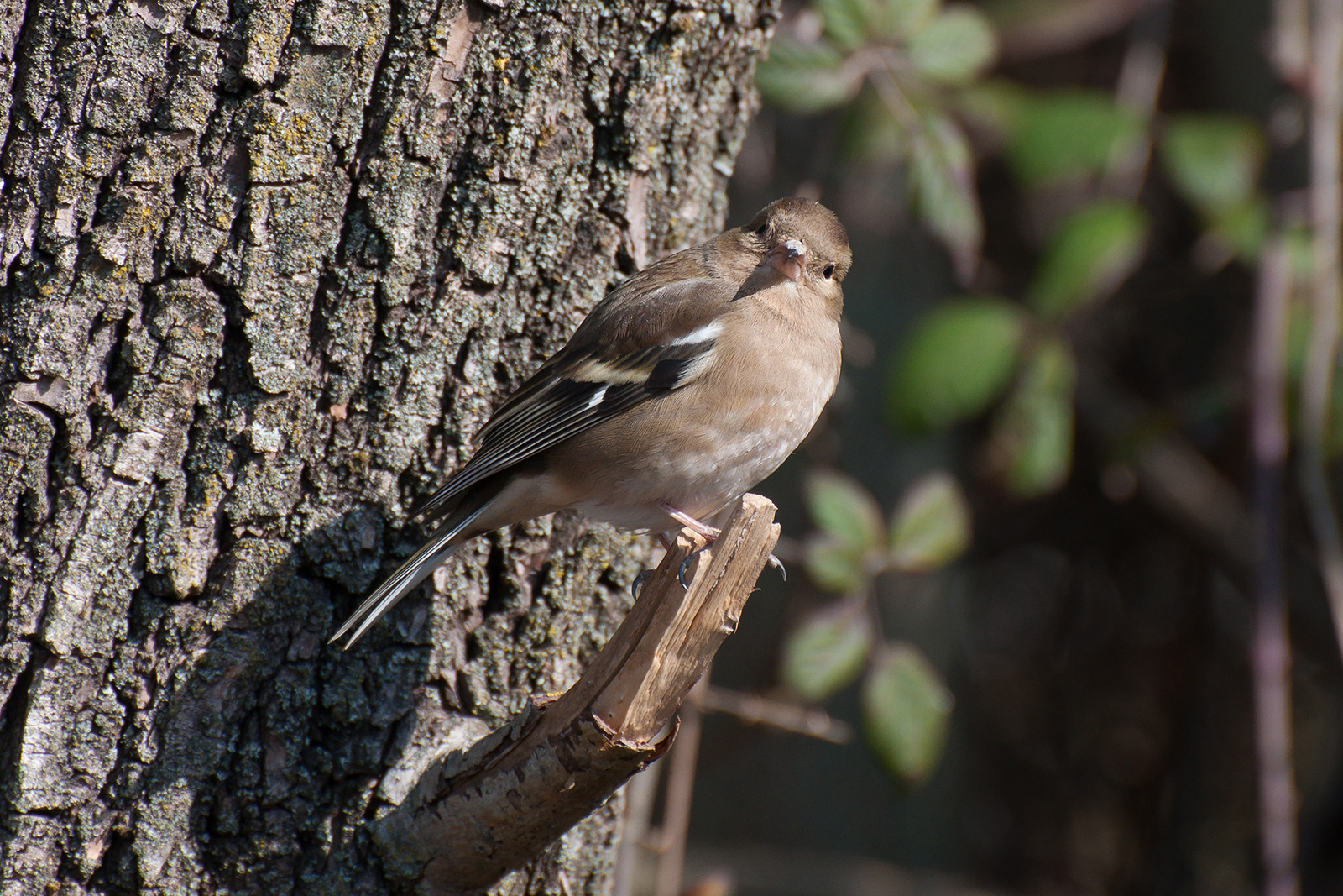 I know you're there ..