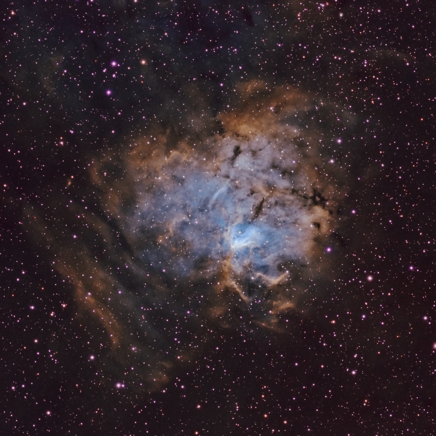 Nebulosa “Impronta Fossile” NGC 1491