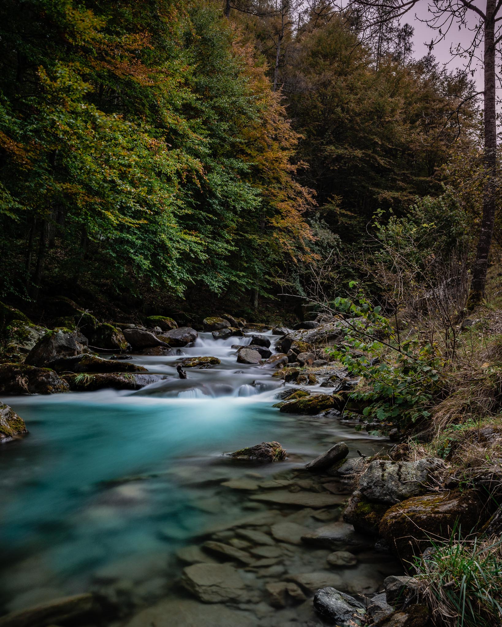 un ruscello che costeggiava la strada