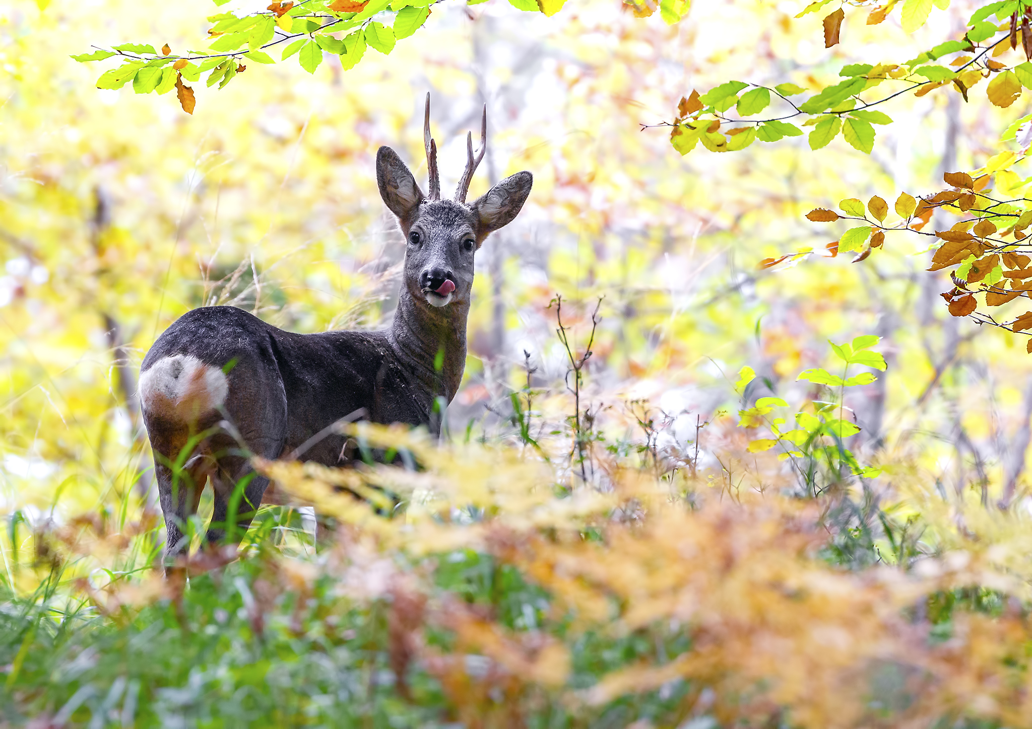 Vibrazioni autunnali