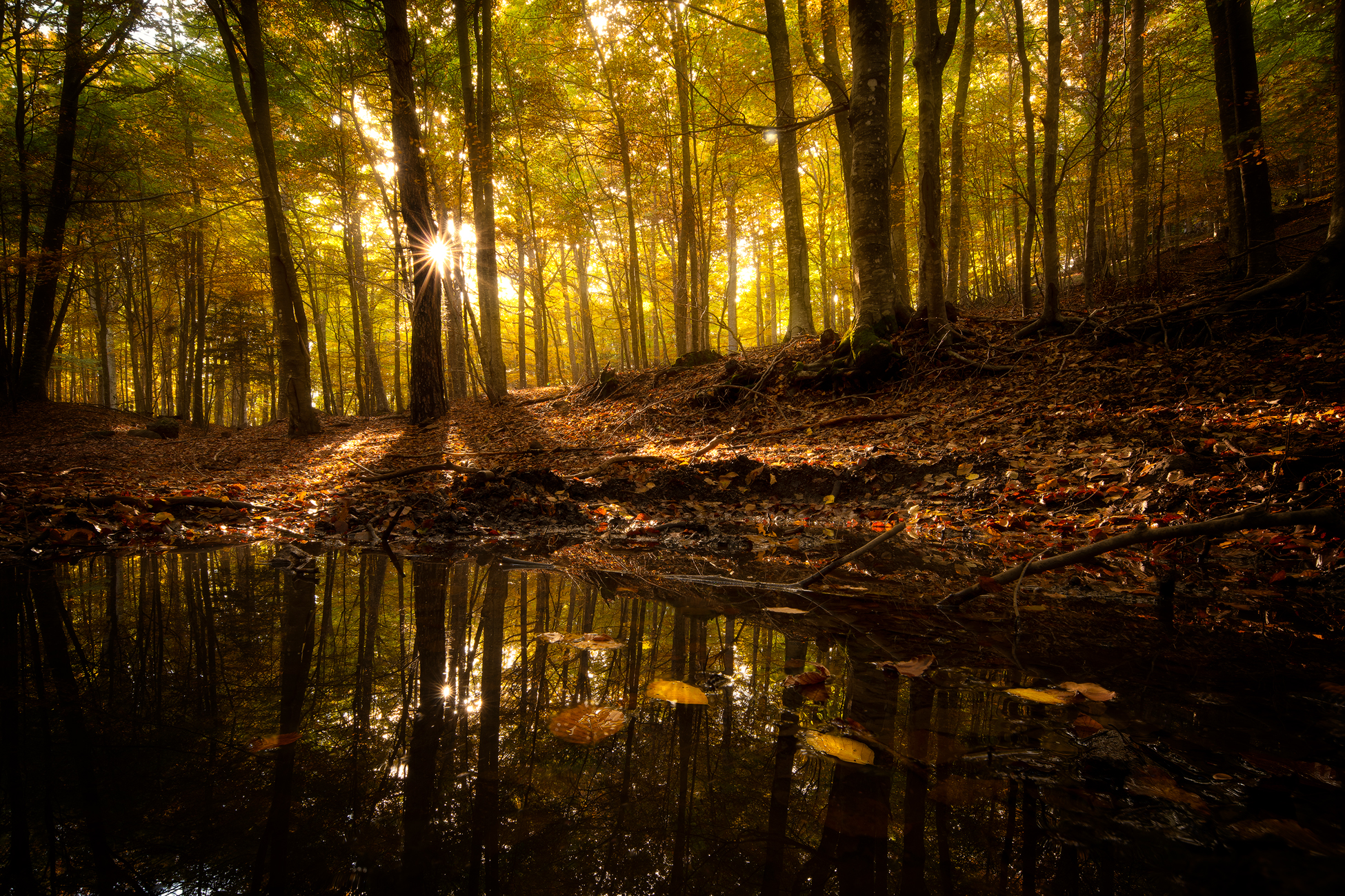 autumn sunset