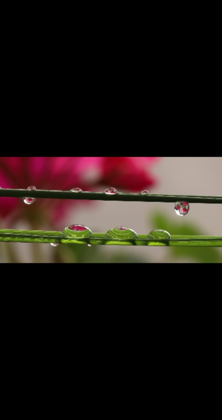 Gocce in macro