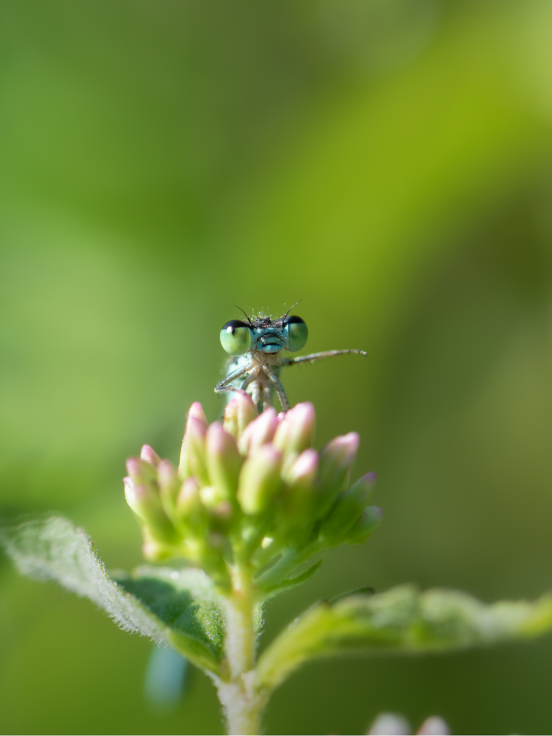 excuse me for the mall?