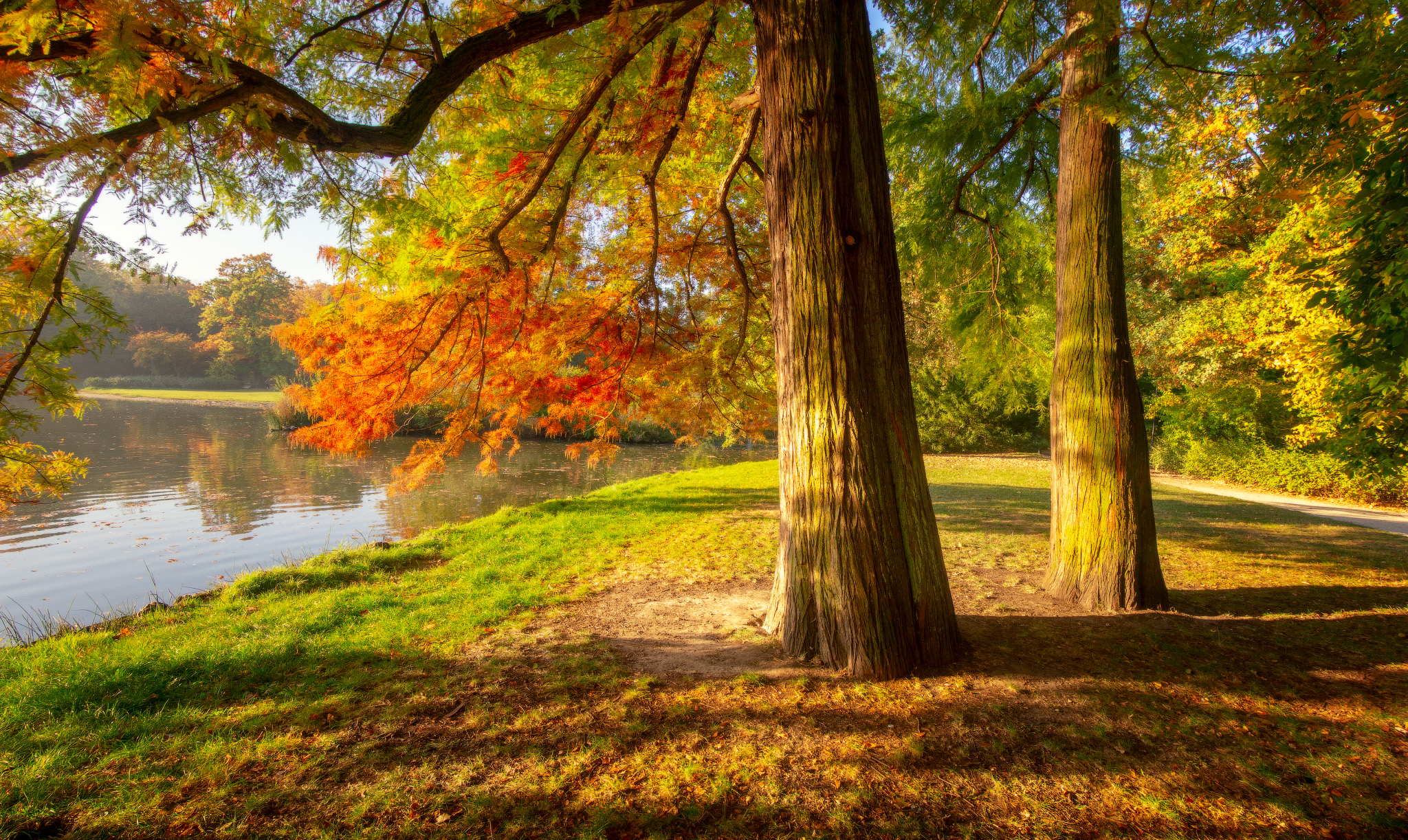 Autumn morning in the park