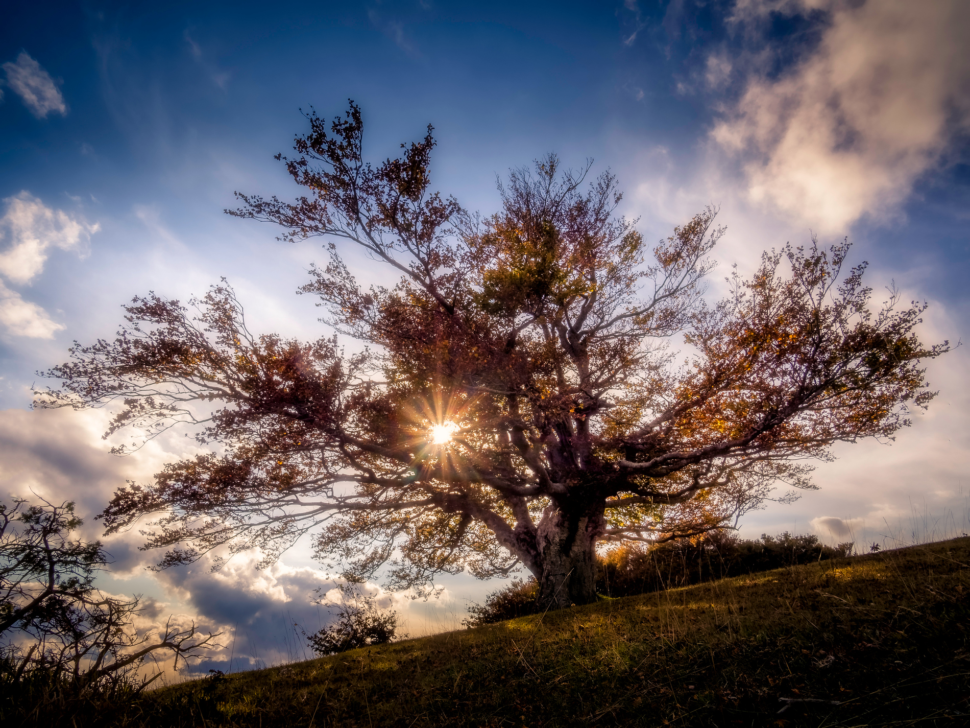 Uno dei tanti B side