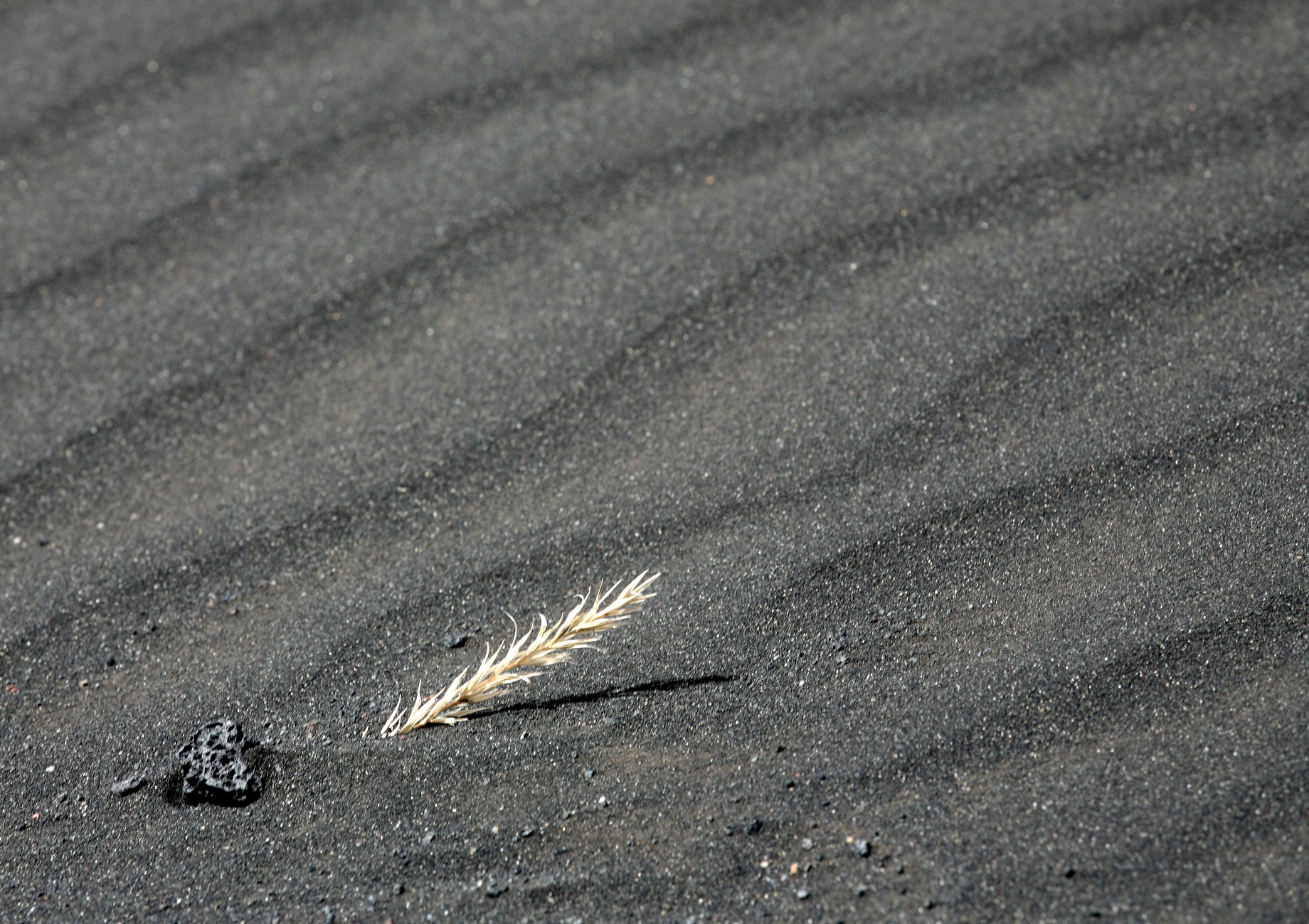 deserto nero di lapilli