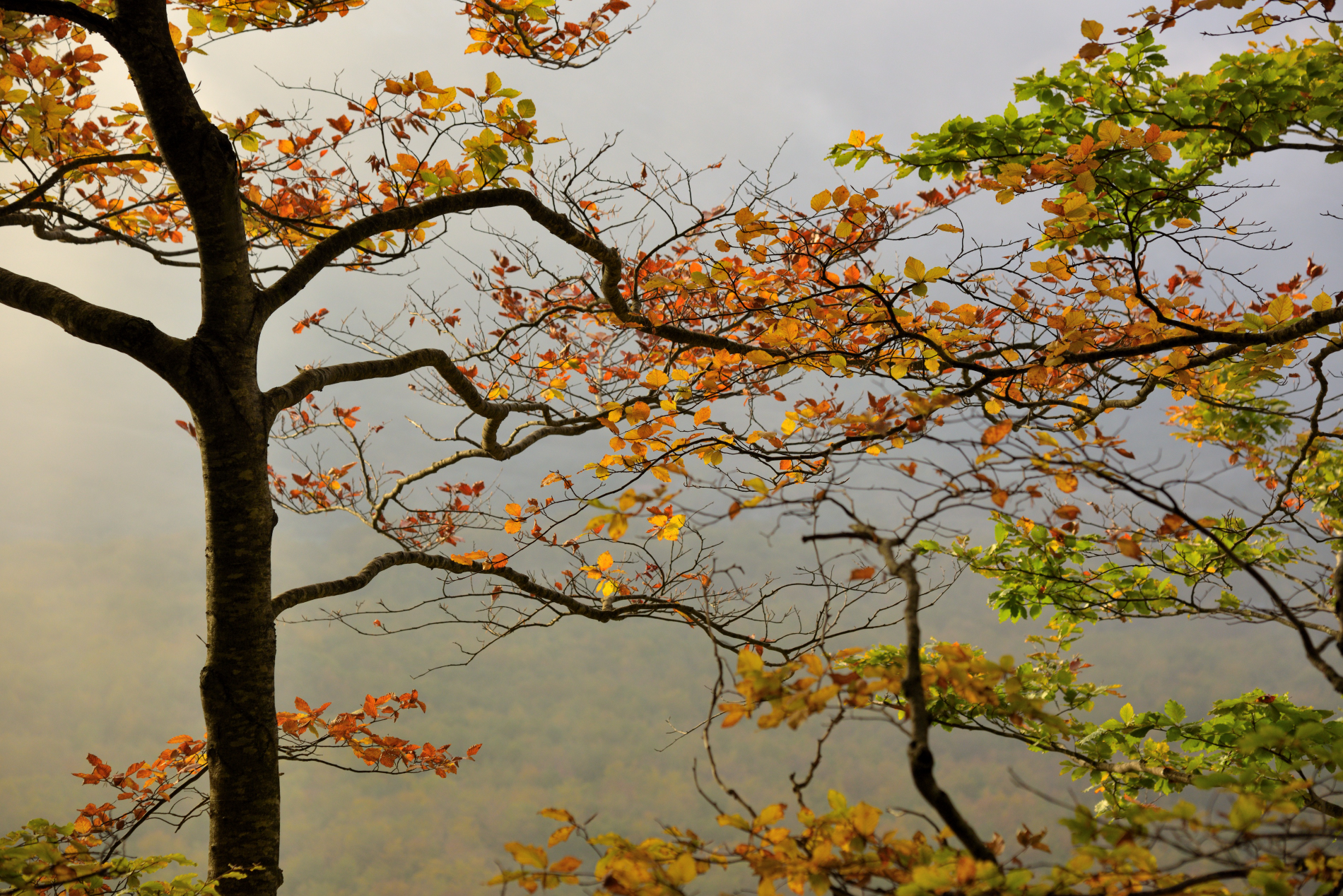 Autumn in Abruzzo