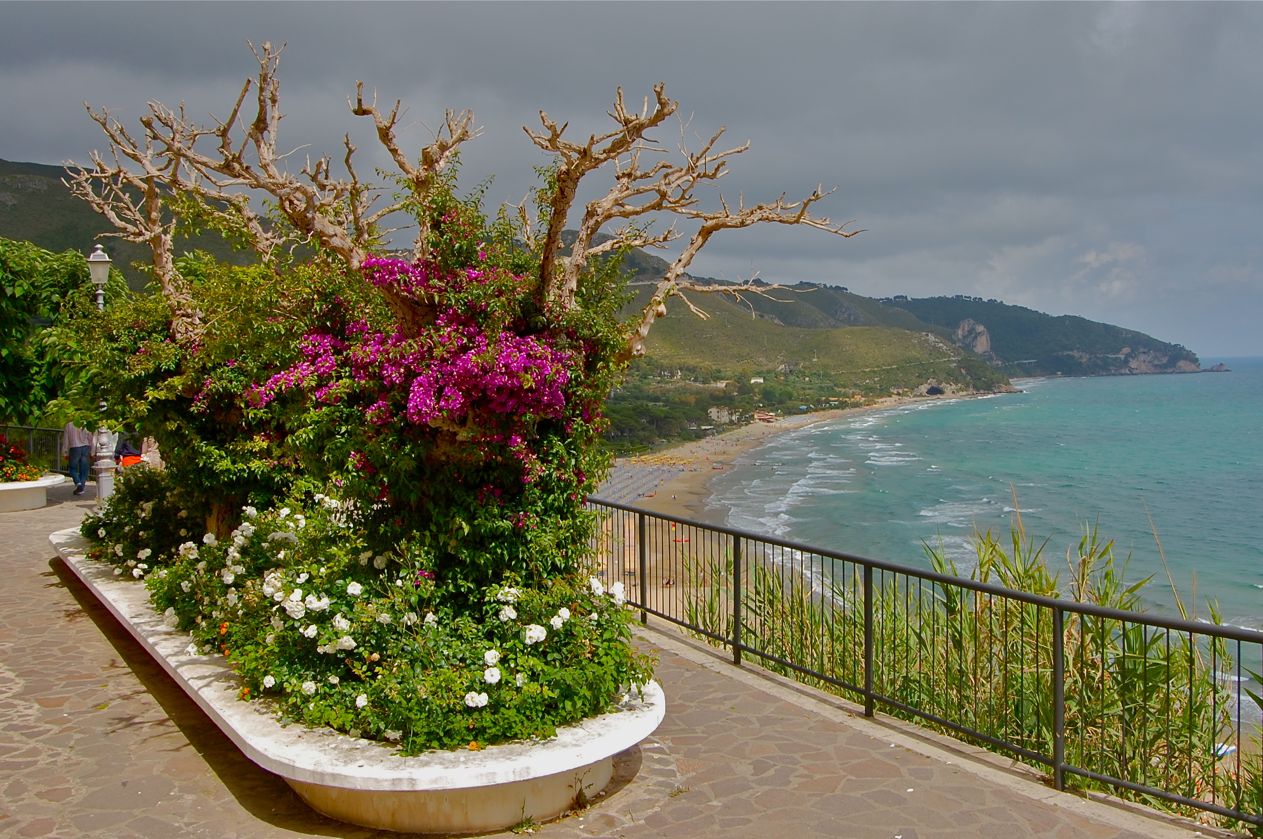 Flower arrangement and a view of the beach of Sperlonga