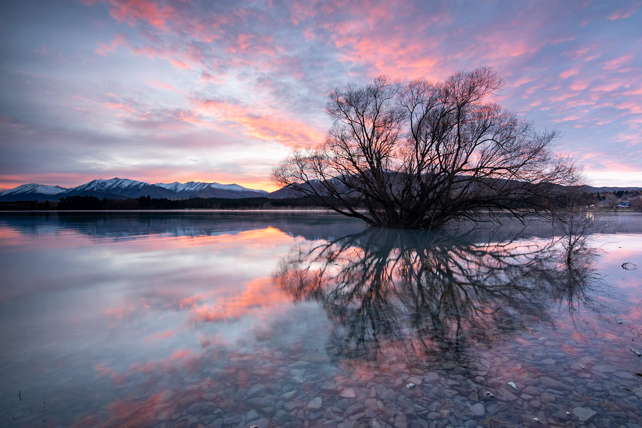 Tekapo
