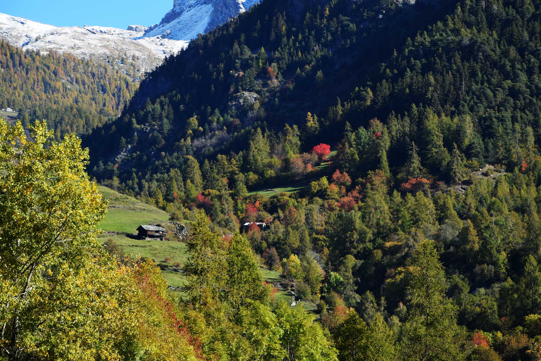 Val d'Ayas Municipality