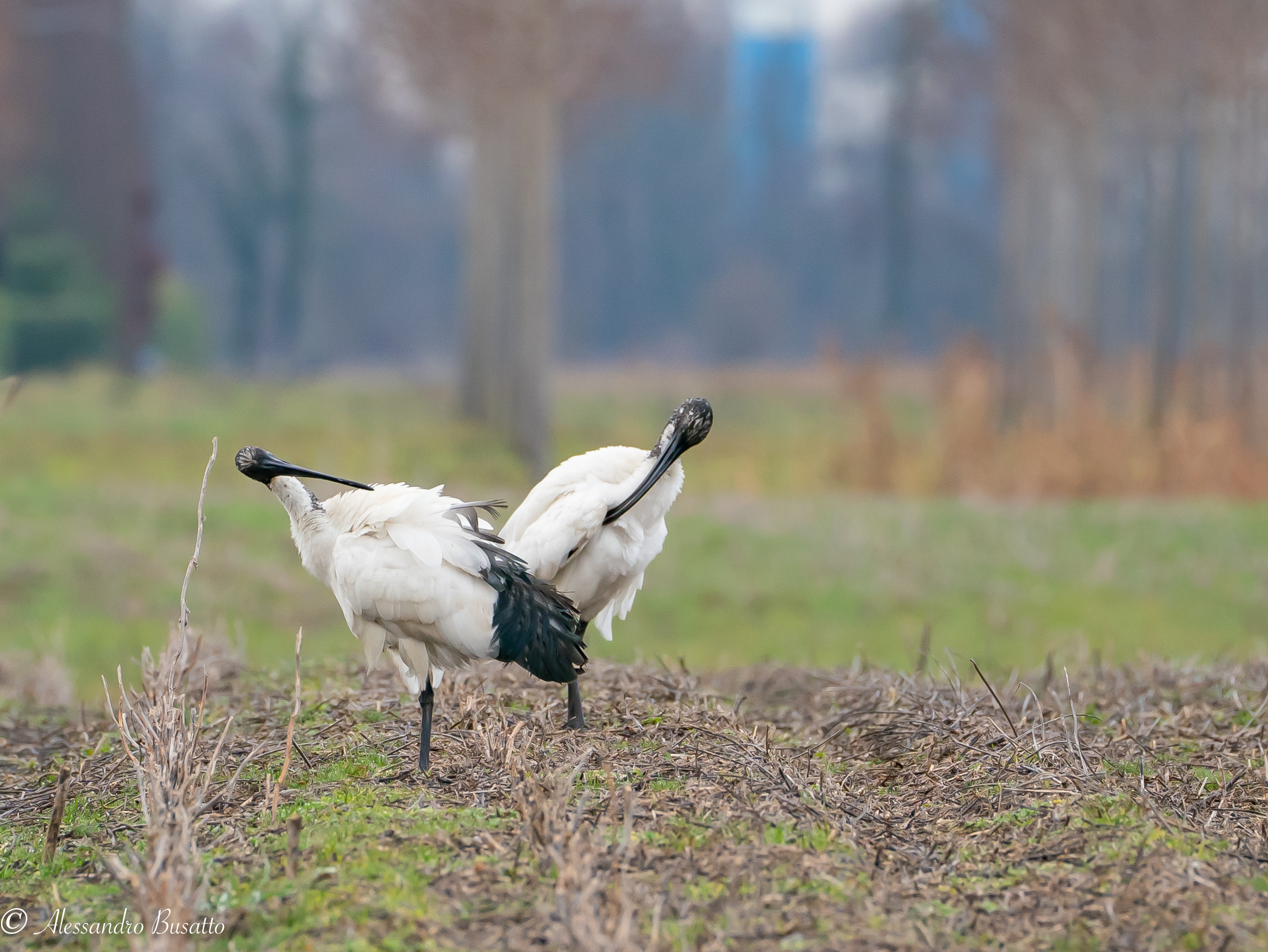 L'igiene di questi tempi è molto importante