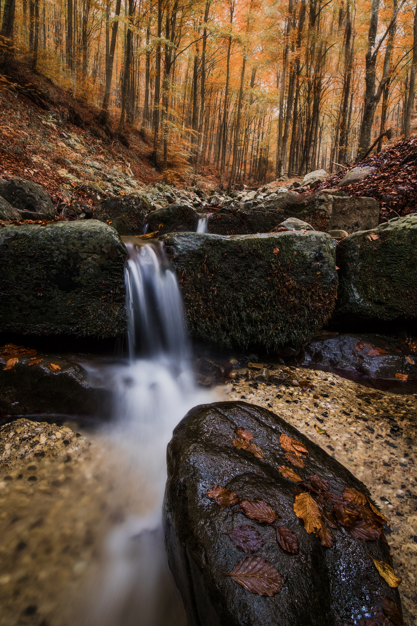 La stagione più bella
