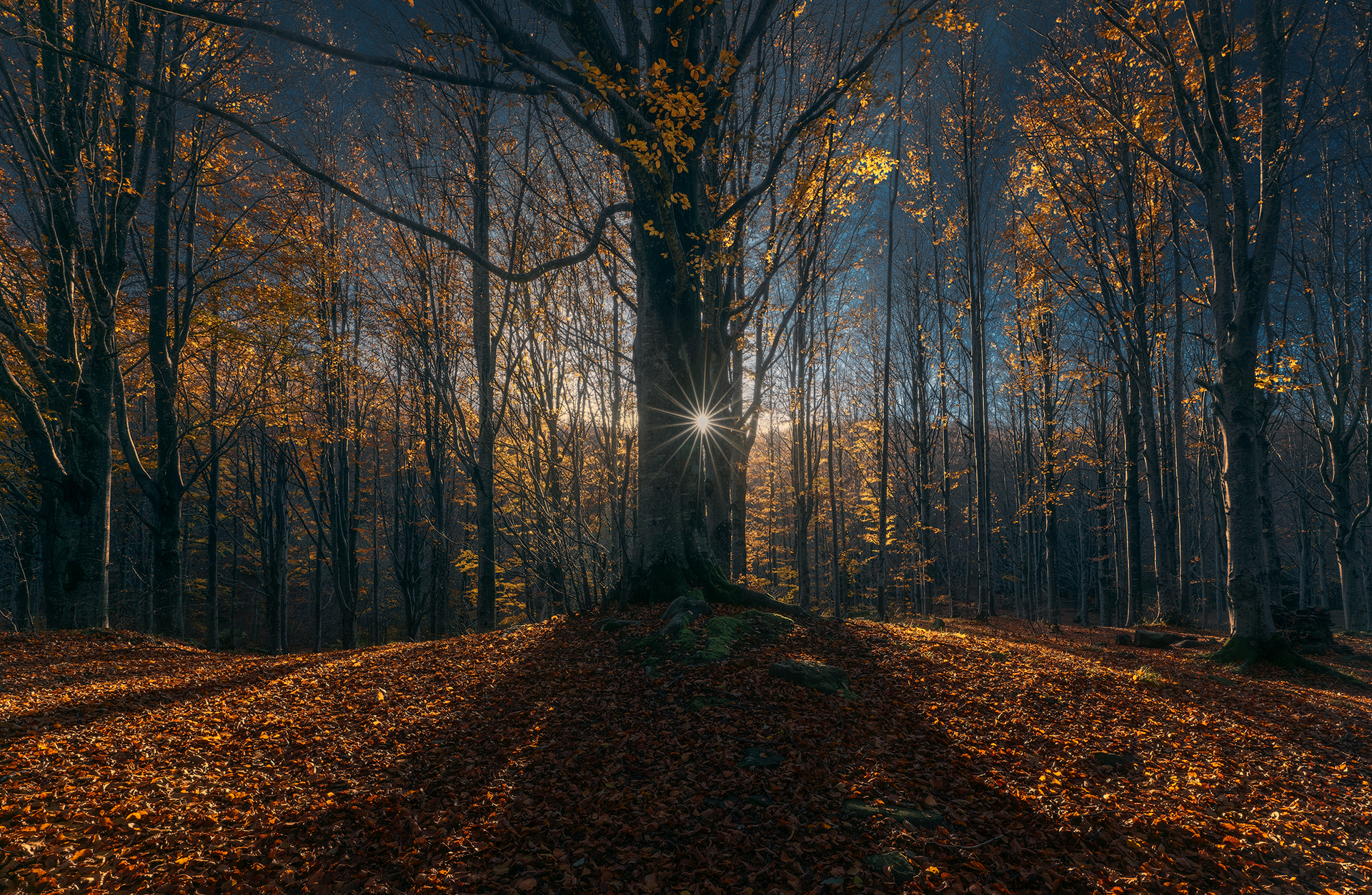 L'autunno e i suoi colori