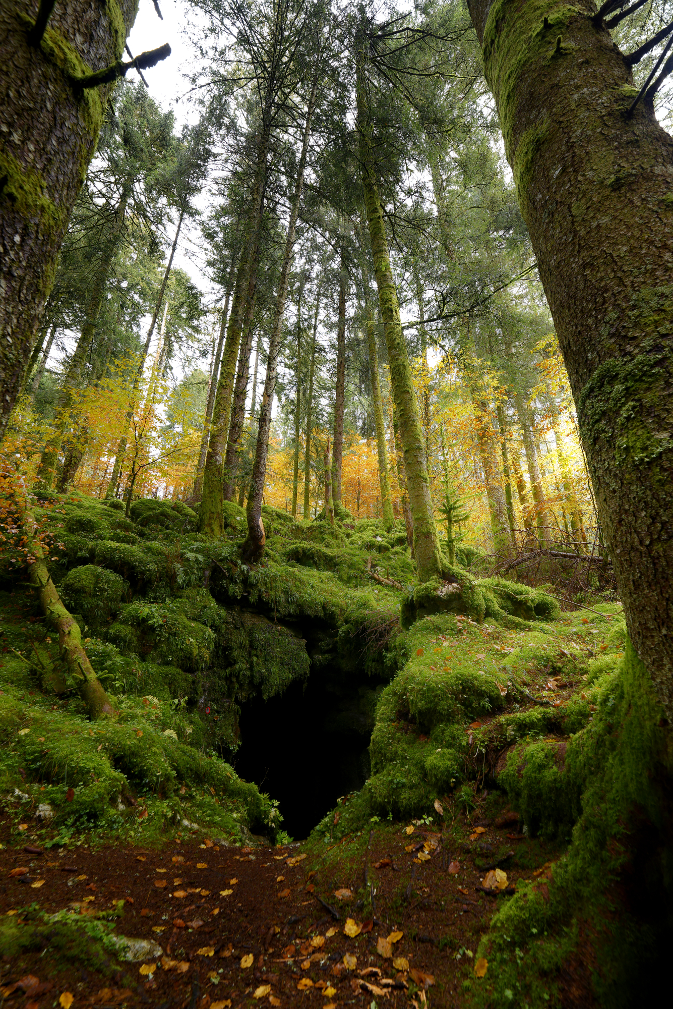 Toc Toc! is this the home of Bilbo Baggins?