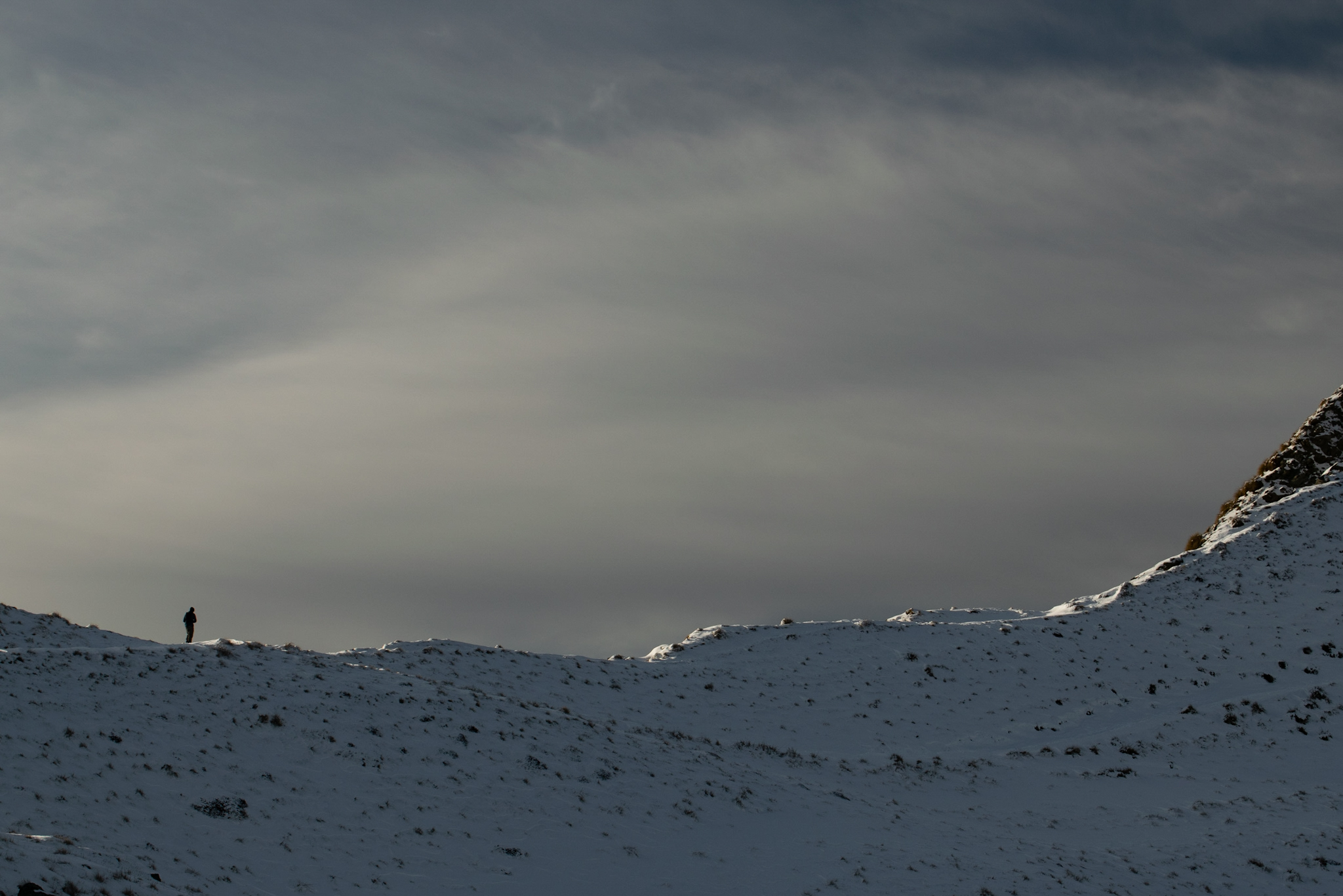 Untitled Photo