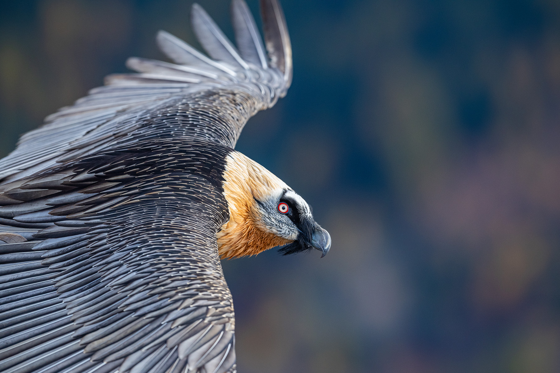 Le montagne negli occhi