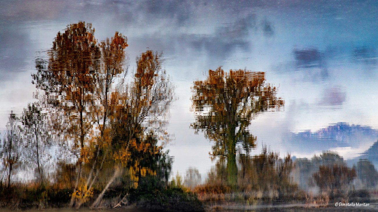 Autunno riflesso 2