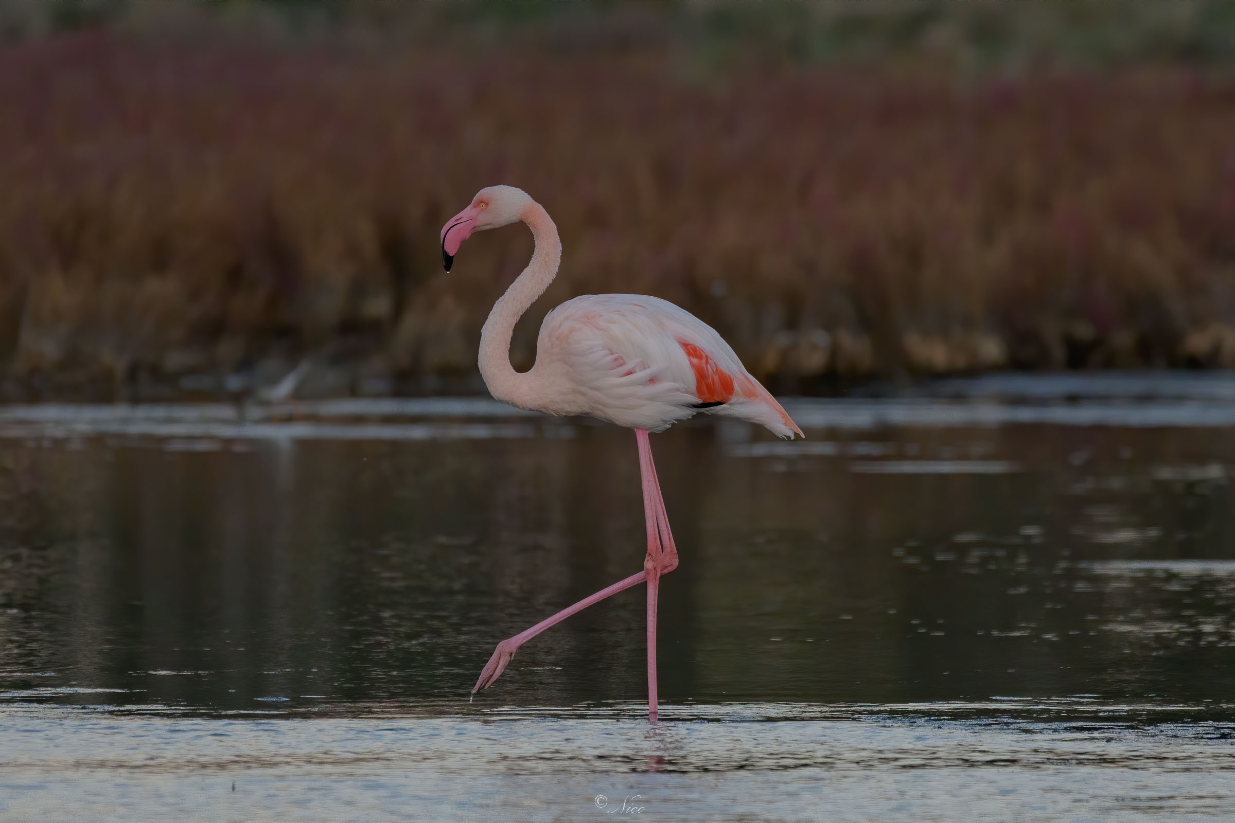 After dark while everything stops their dance co