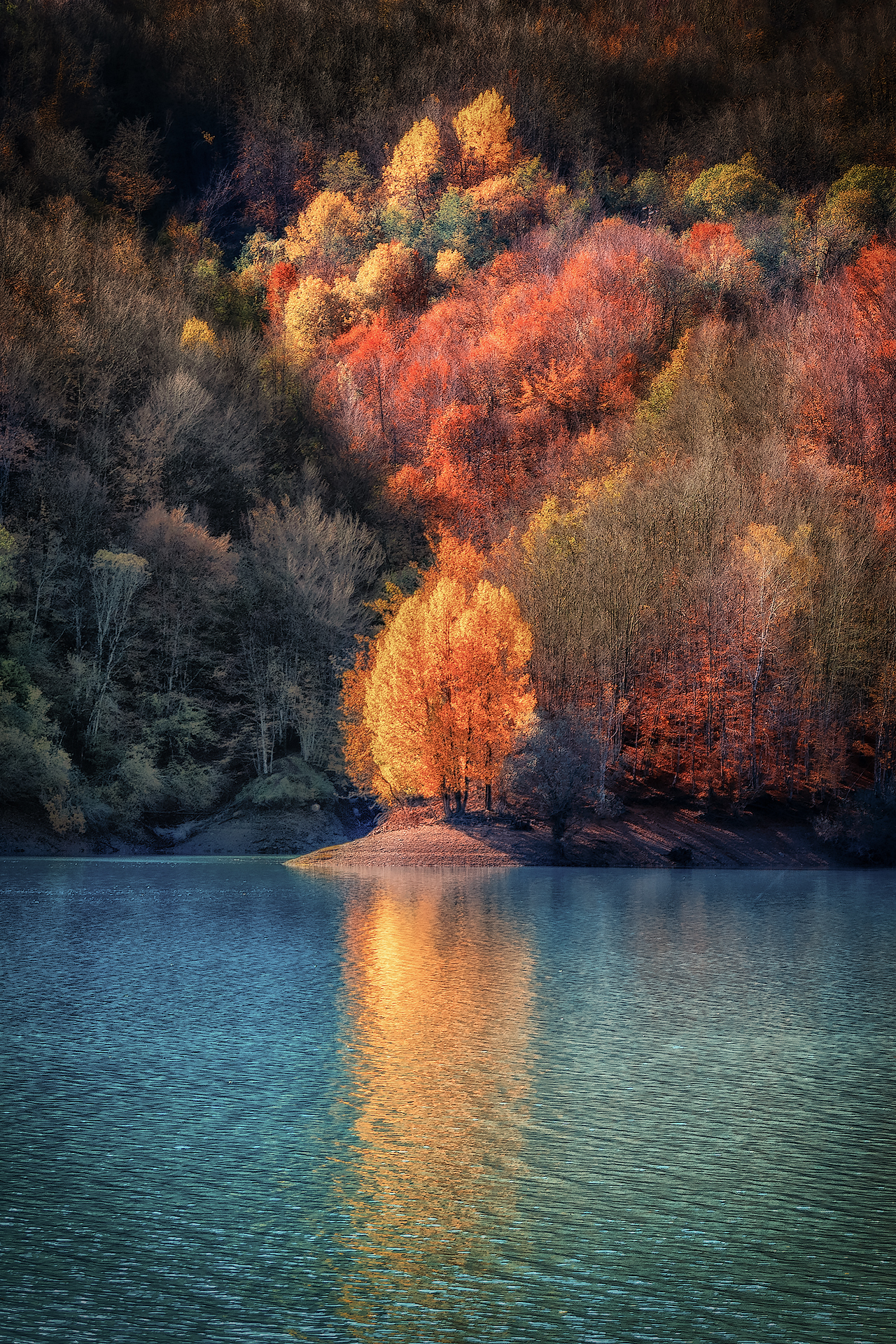 Foliage al Lago del Brugneto