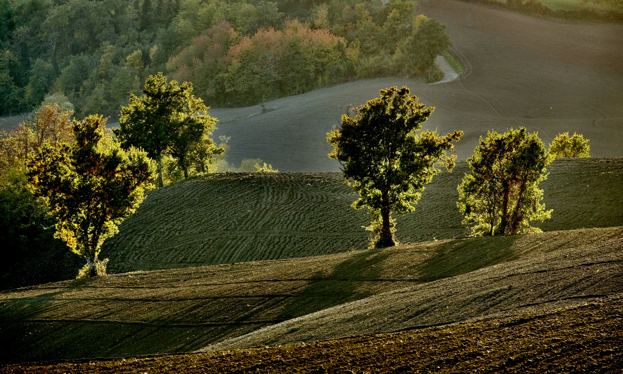 la Porta dell' Autunno