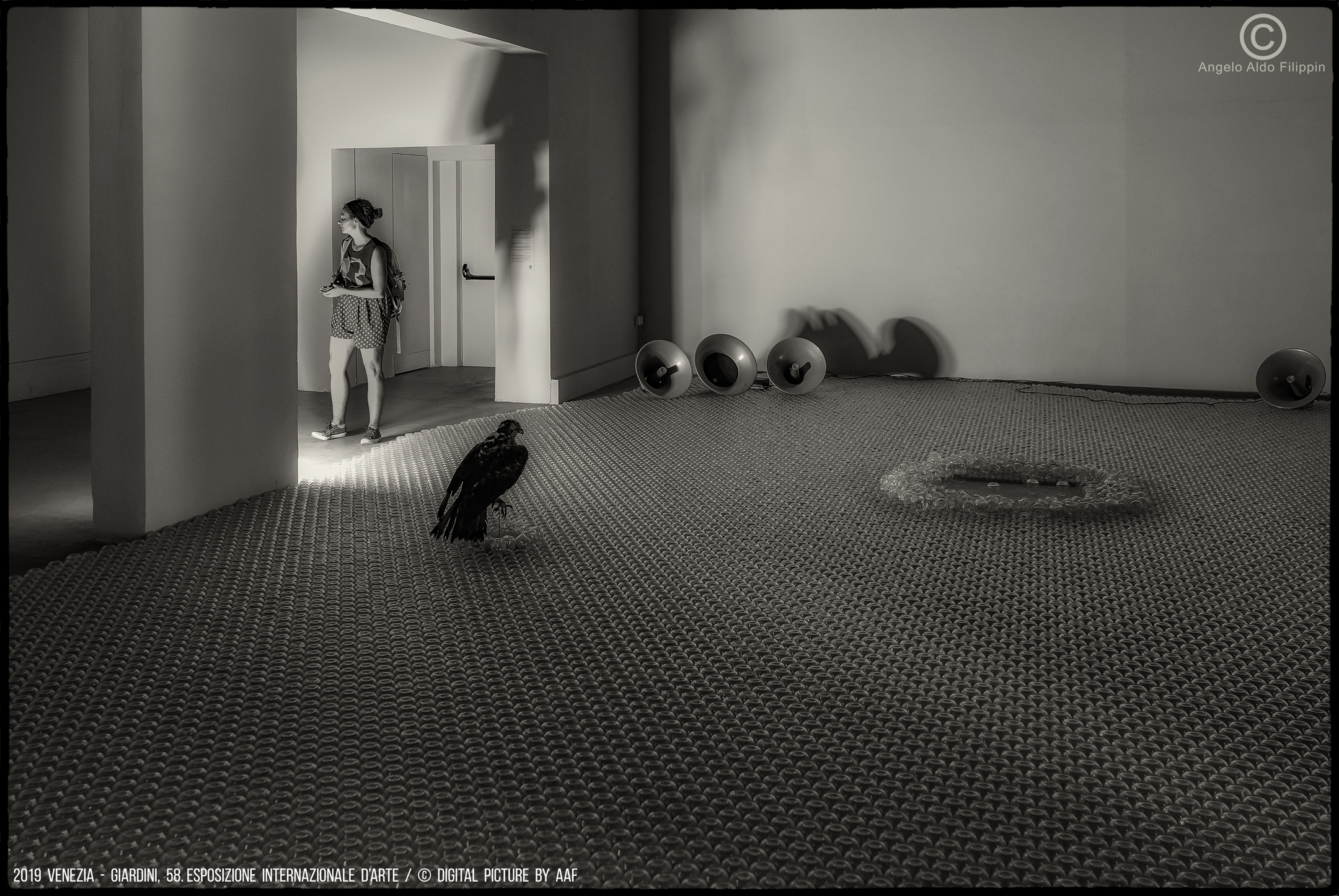 2019 Venezia, Giardini-58. Esposizione Intern. d'Arte