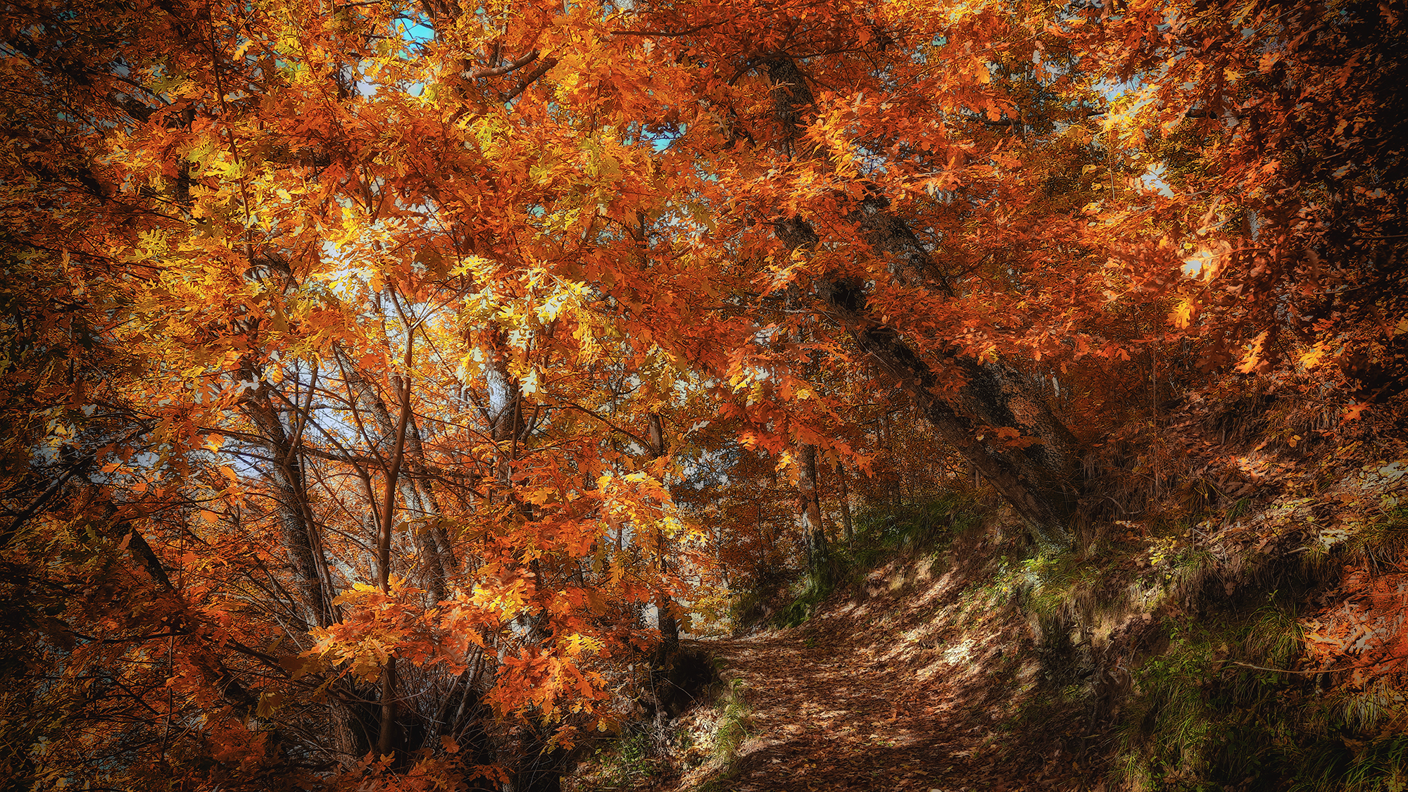 Sentiero Lago del Brugneto