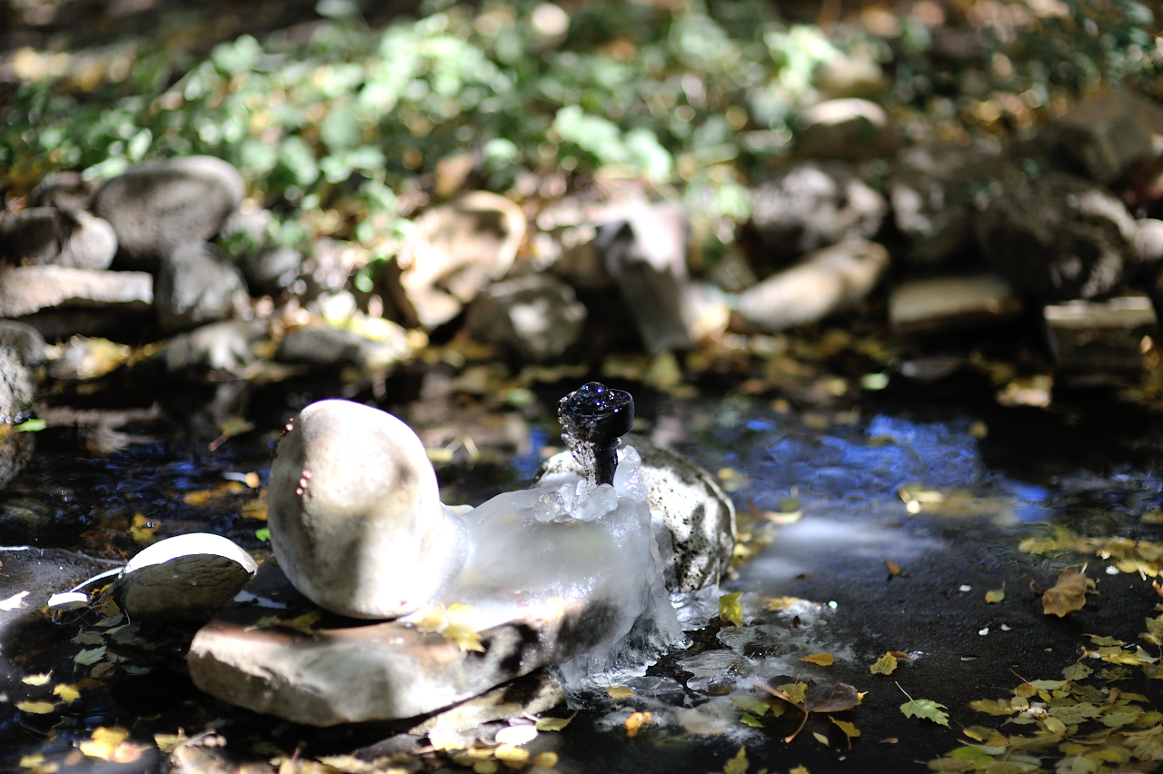 Lo stagno in un freddo giorno di fine autunno