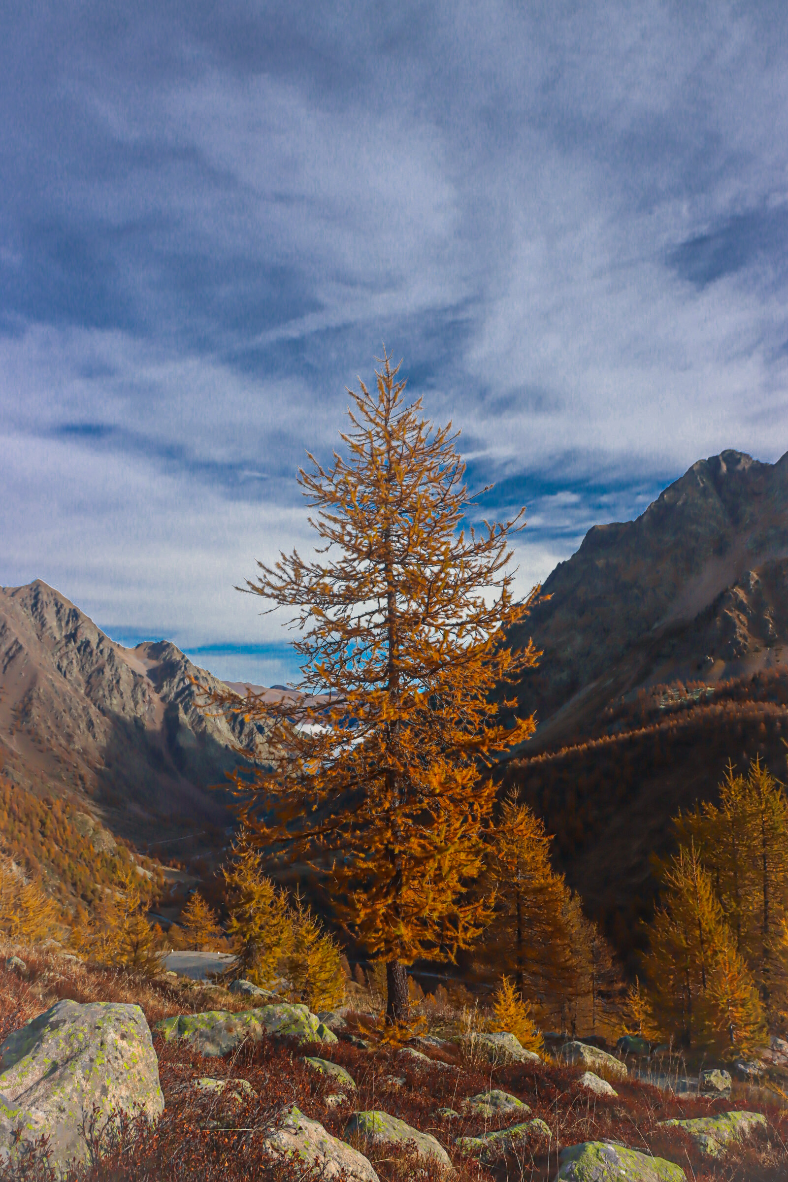 Autunno