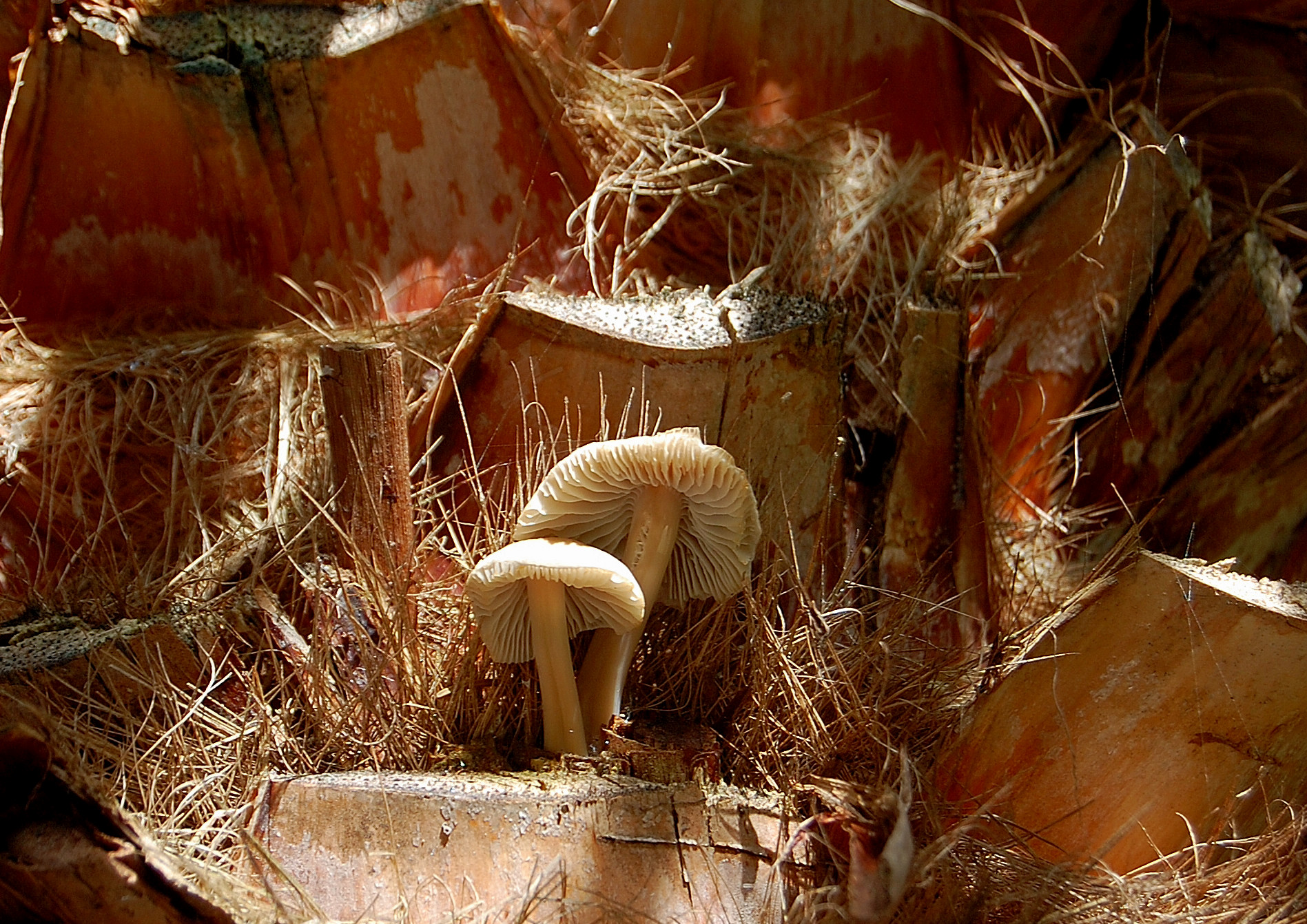 No matter where, just be together