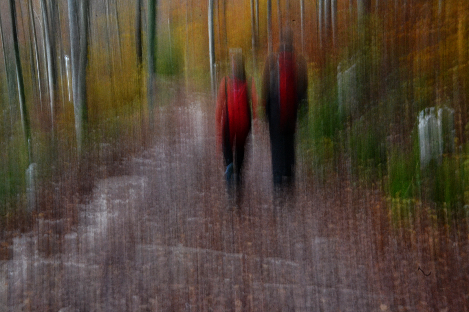 In the woods