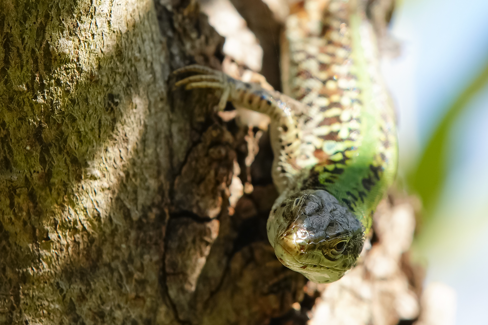 I colori del Salento