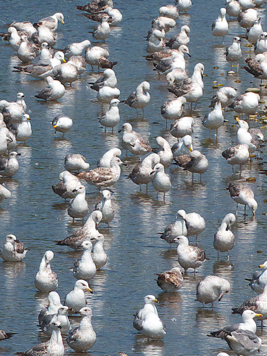 Excuse me, is there room?