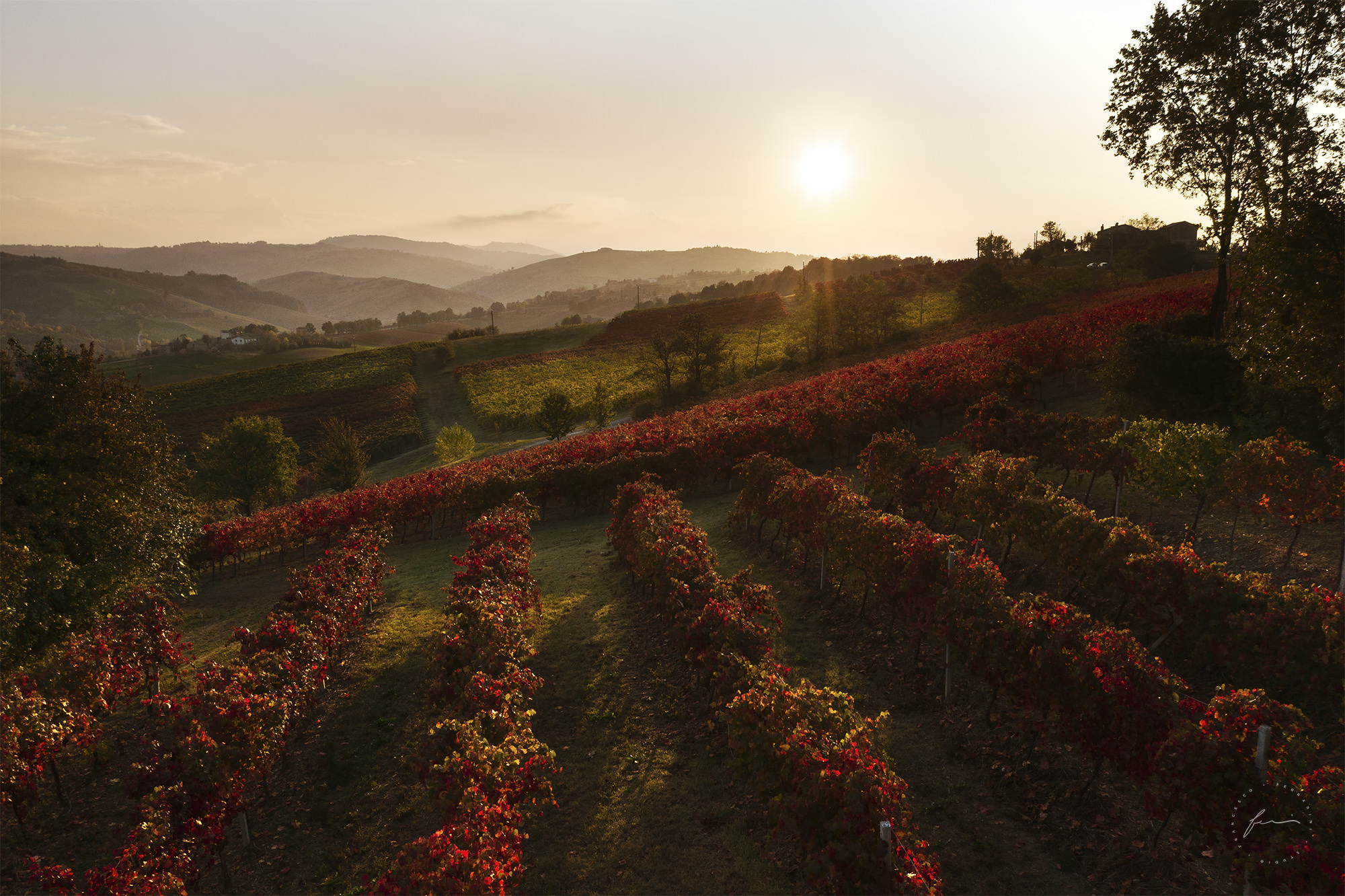 Lambrusco Valley