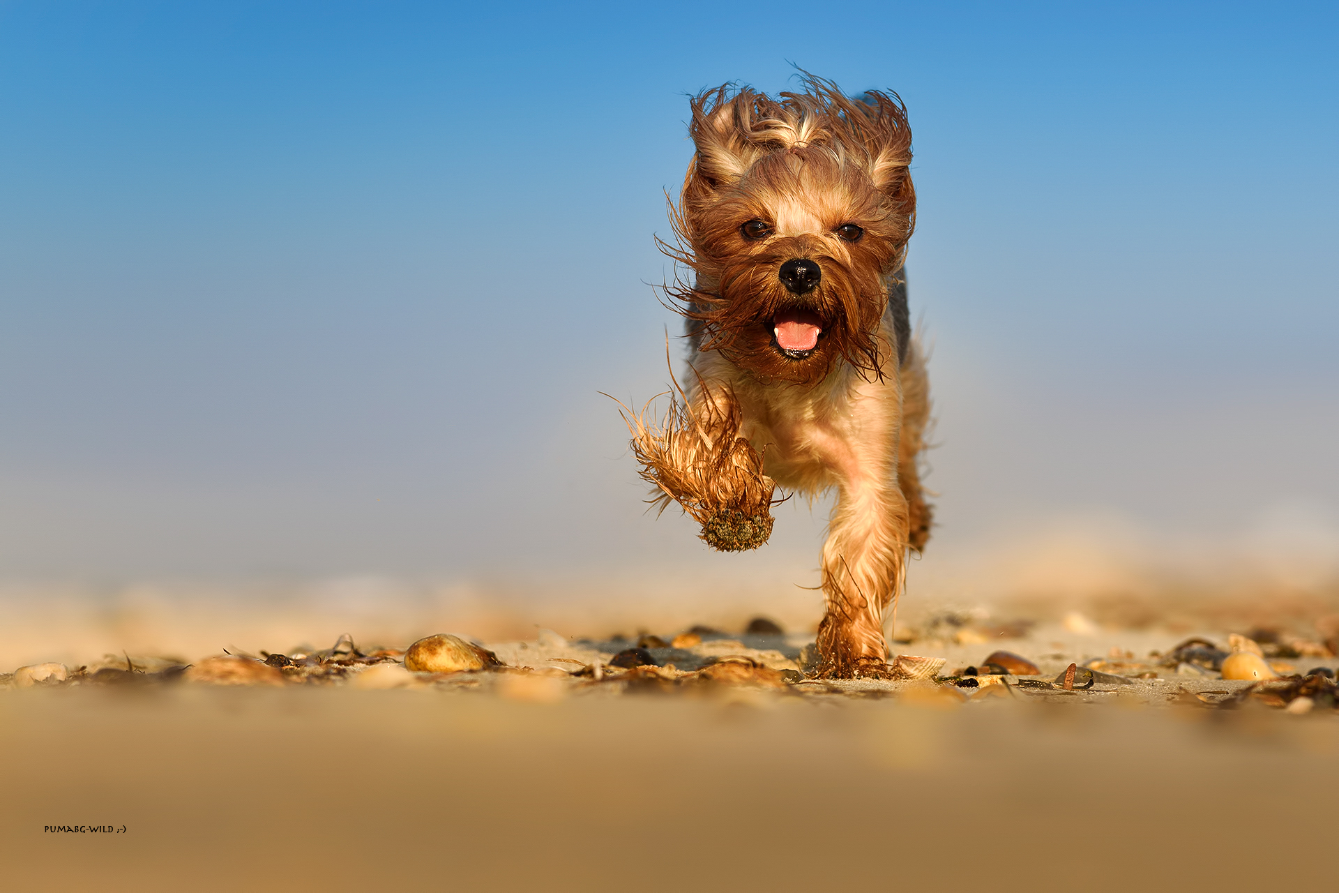 I wish it would be summer now...