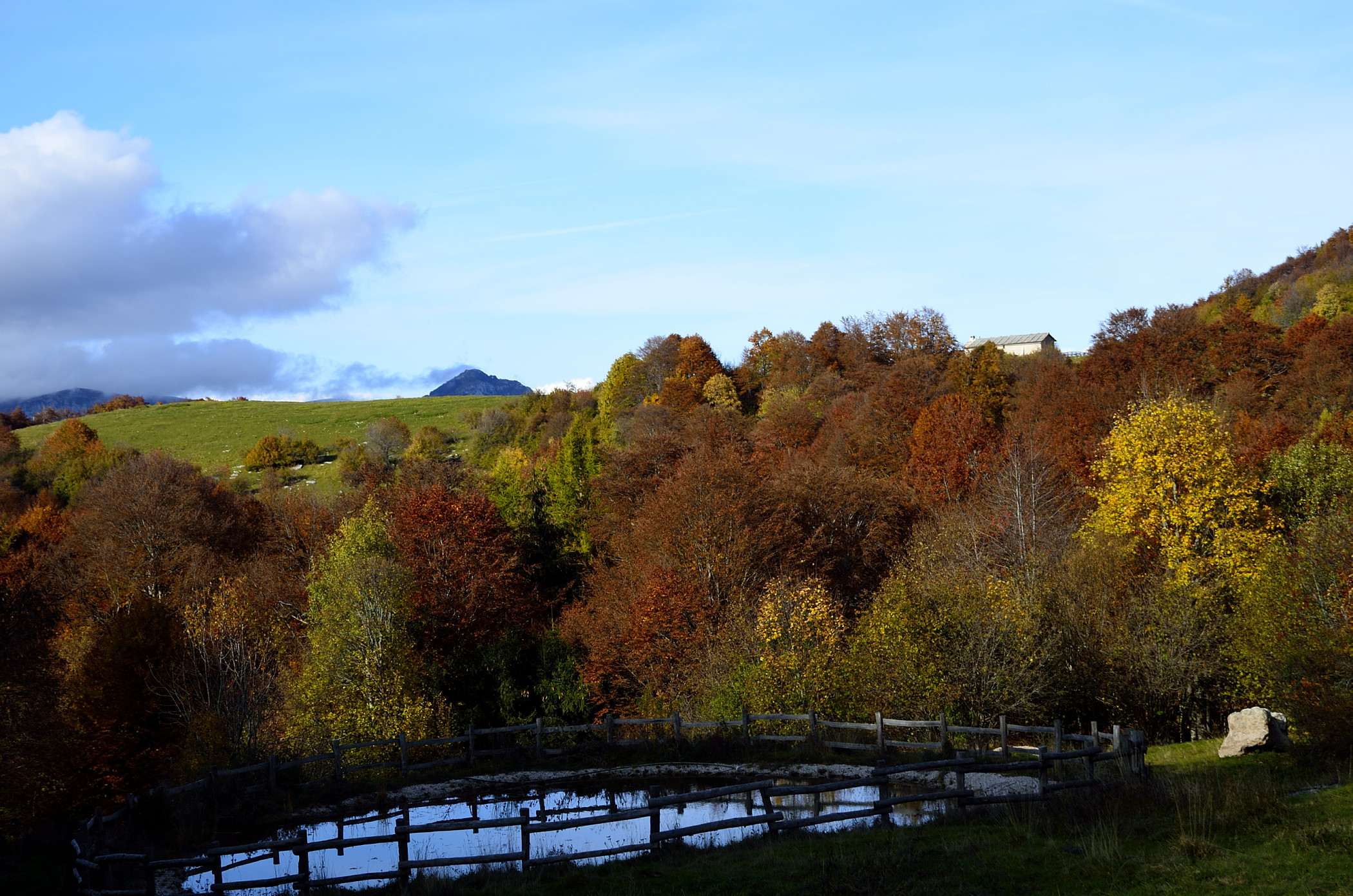 Autumn just around the corner.