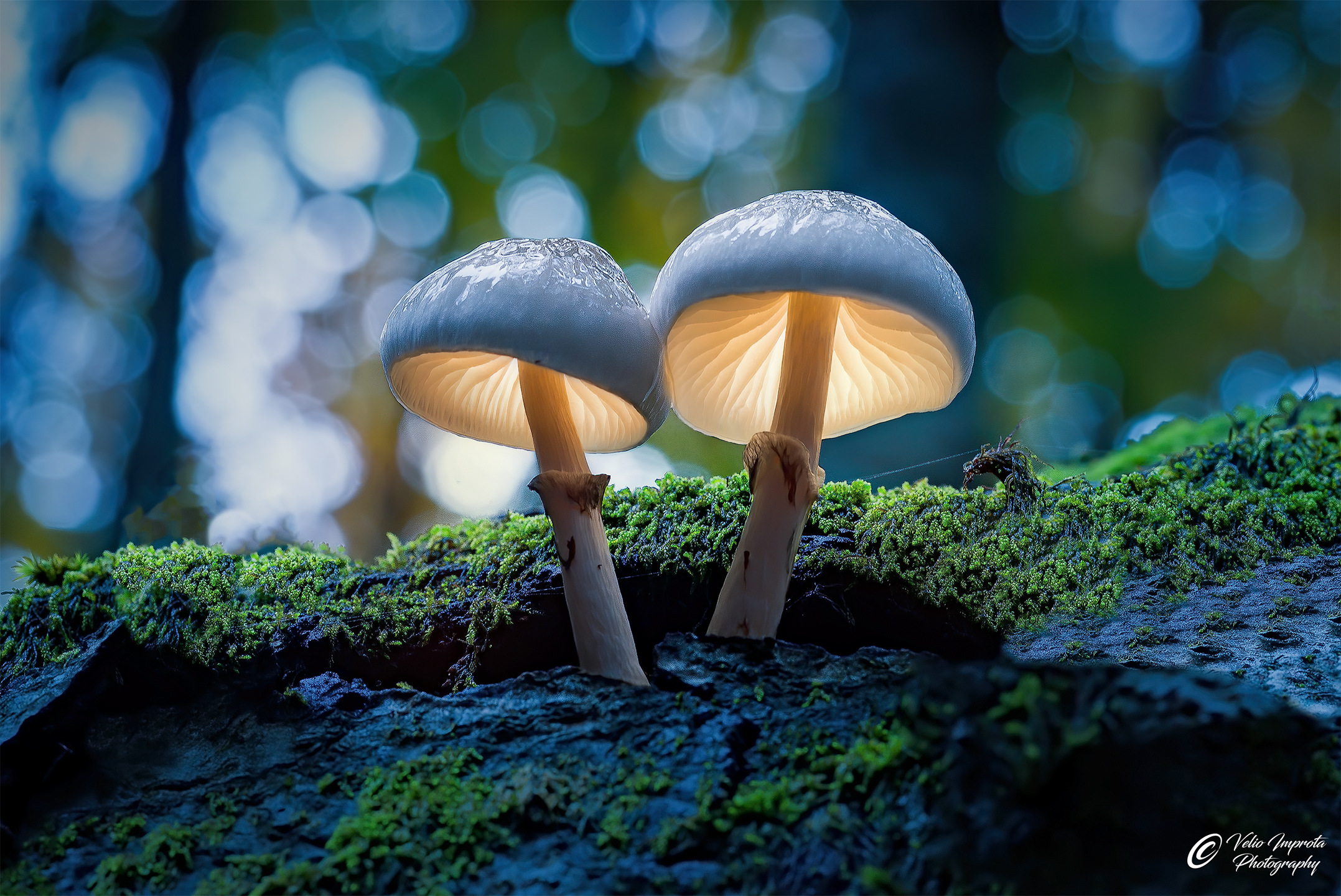 I ghiacci d'autunno a 4000K°