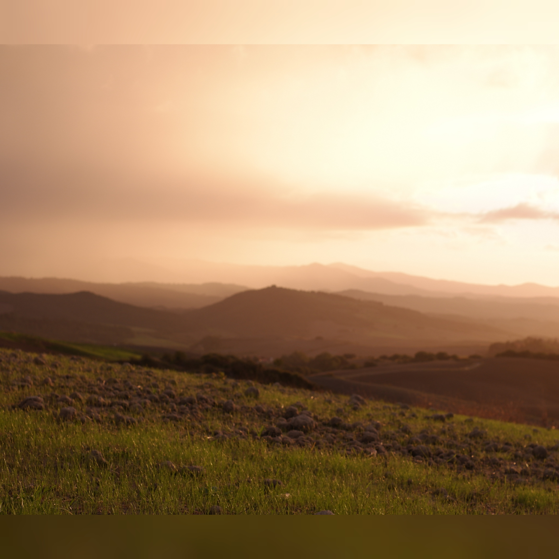 sunset in the volterrana countryside