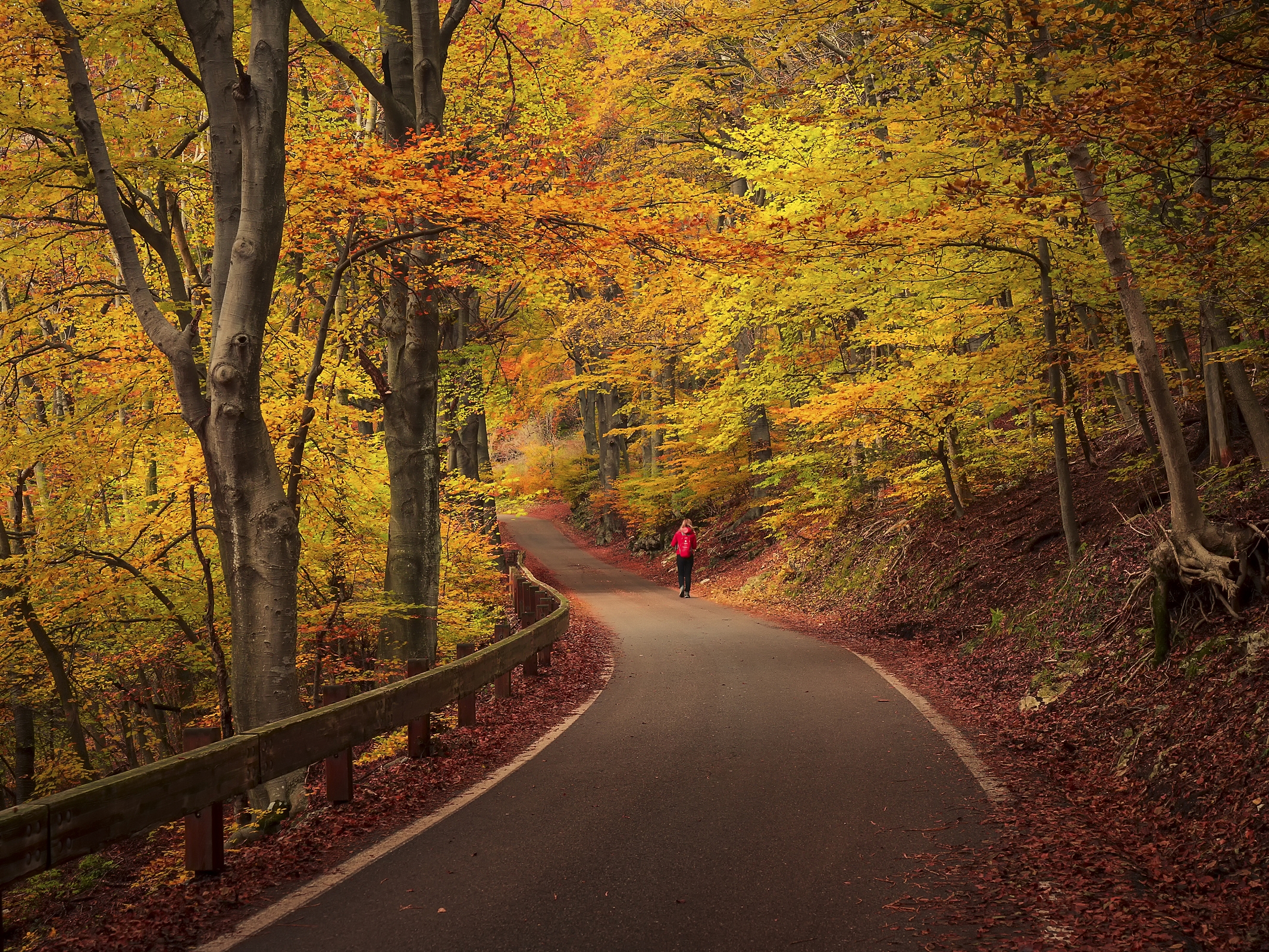 Passeggiata a colori