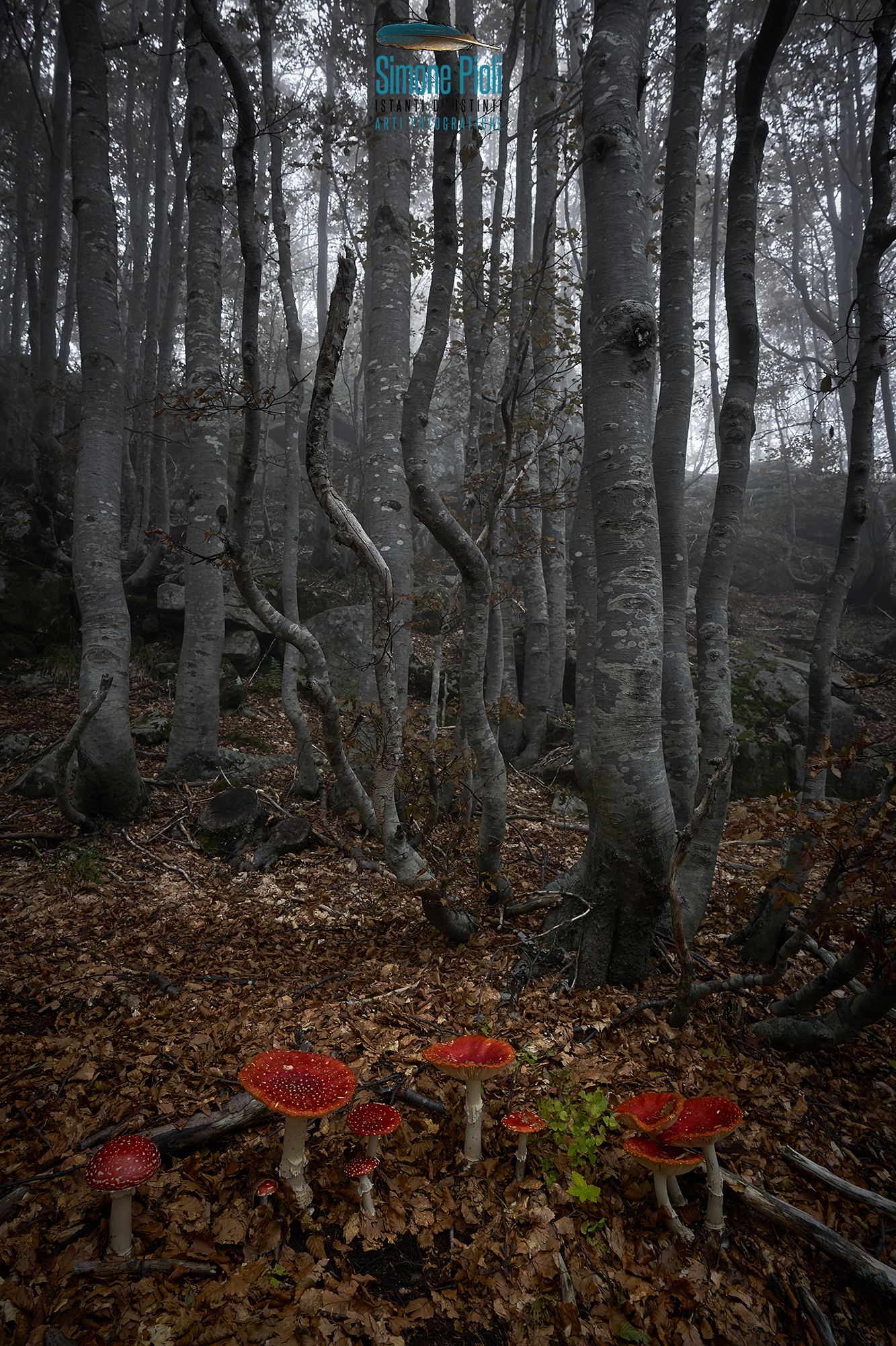 Red, poisonous and dark