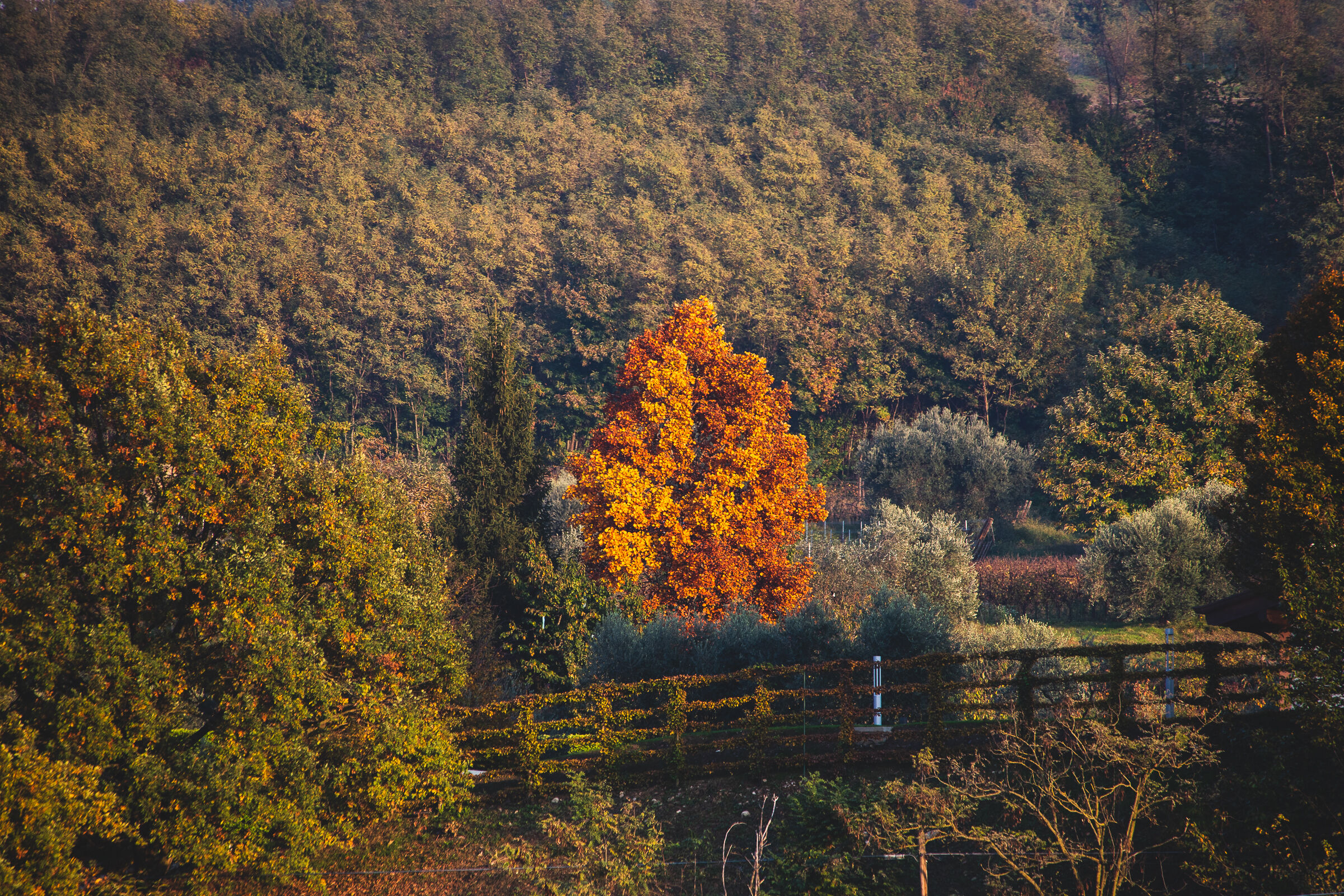 Untitled Photo