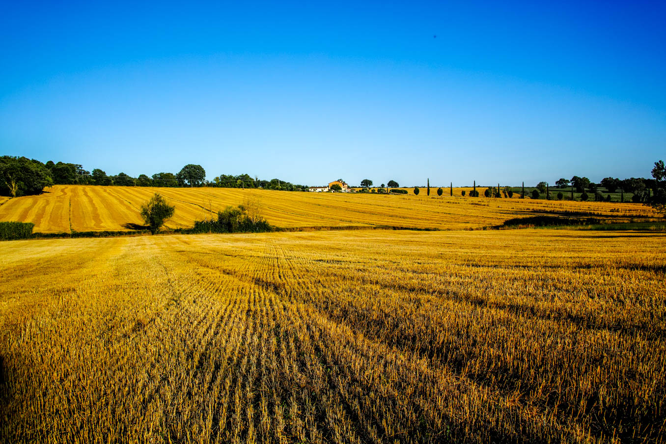 Sunny Umbrian campaign
