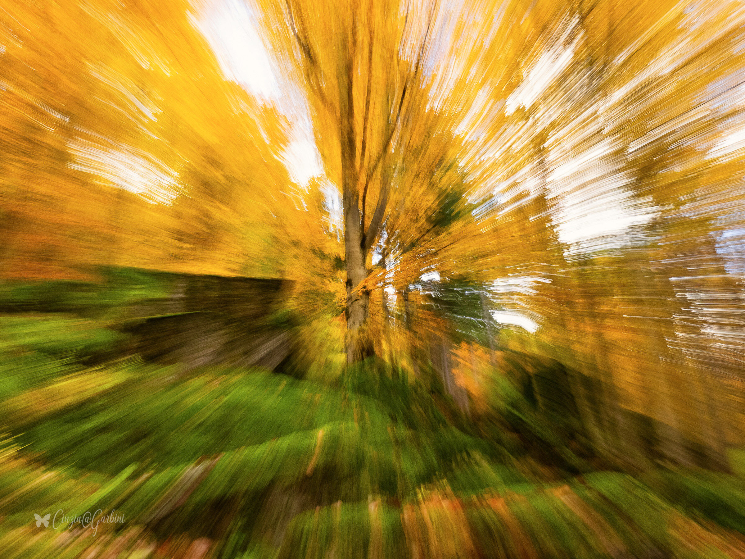 esplosione autunnale