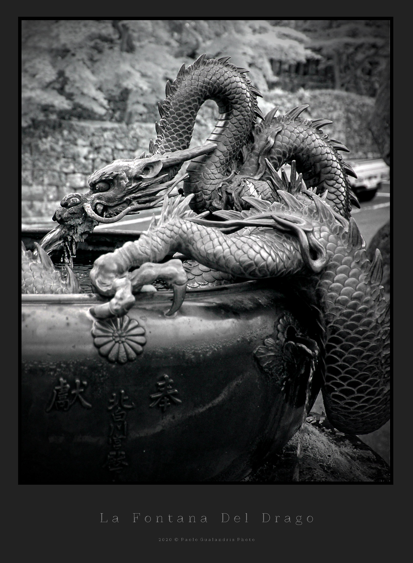 La Fontana Del Drago