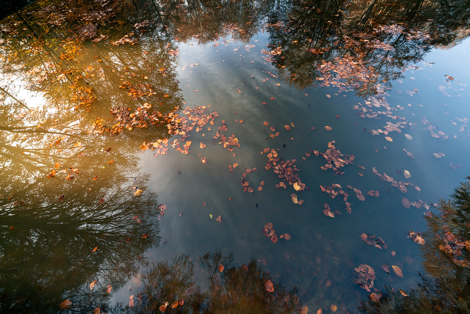 Autumn Mirror