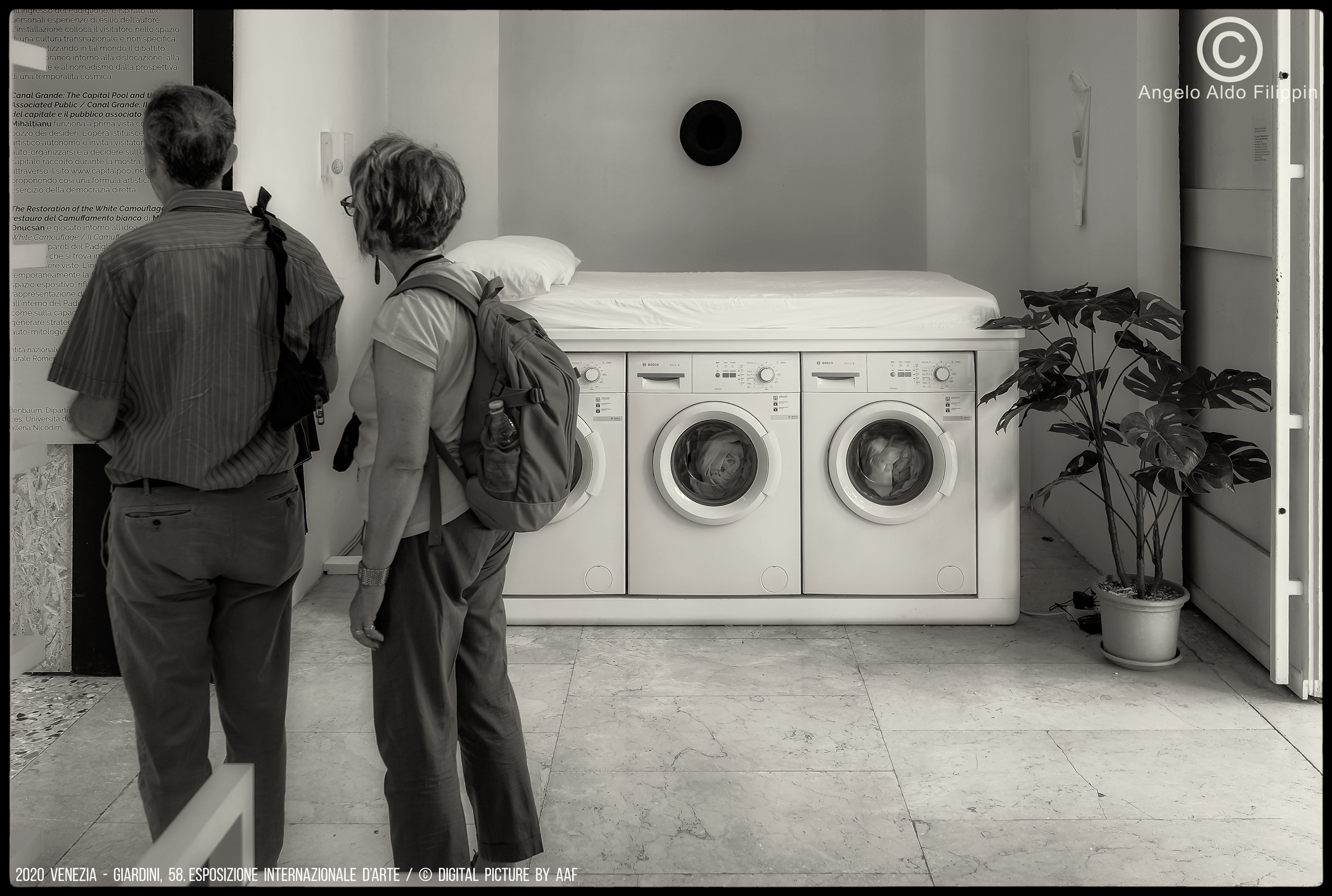 2019 Venezia, Giardini-58. Esposizione Intern. d'Arte