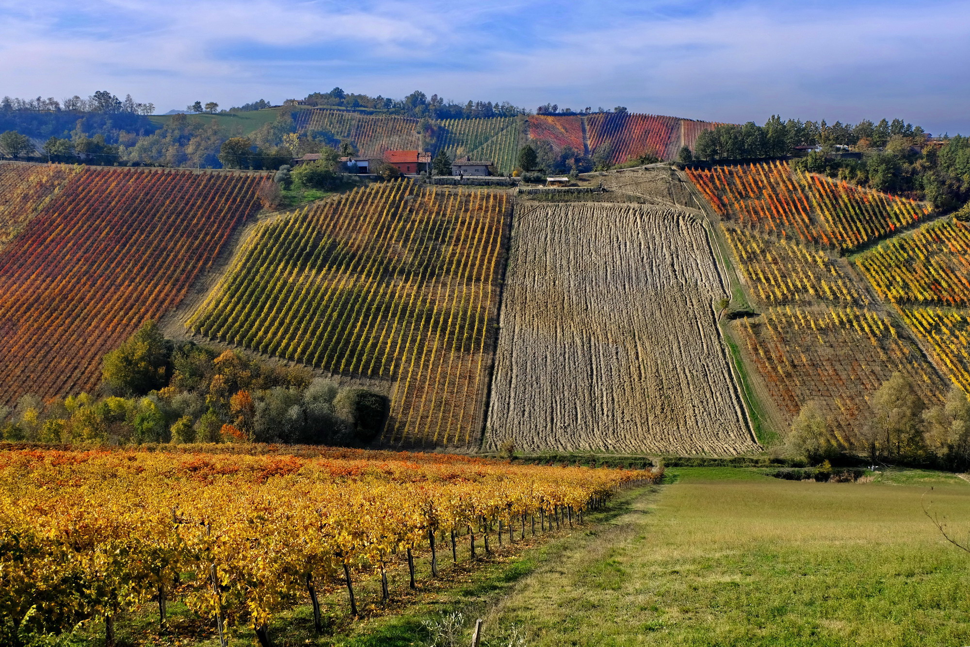 autunno sulle colline piacentine