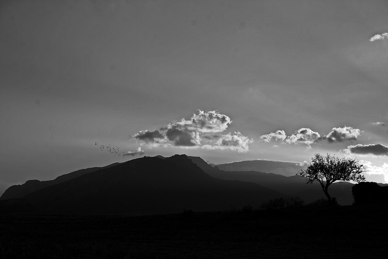 tramonto in bianco e nero