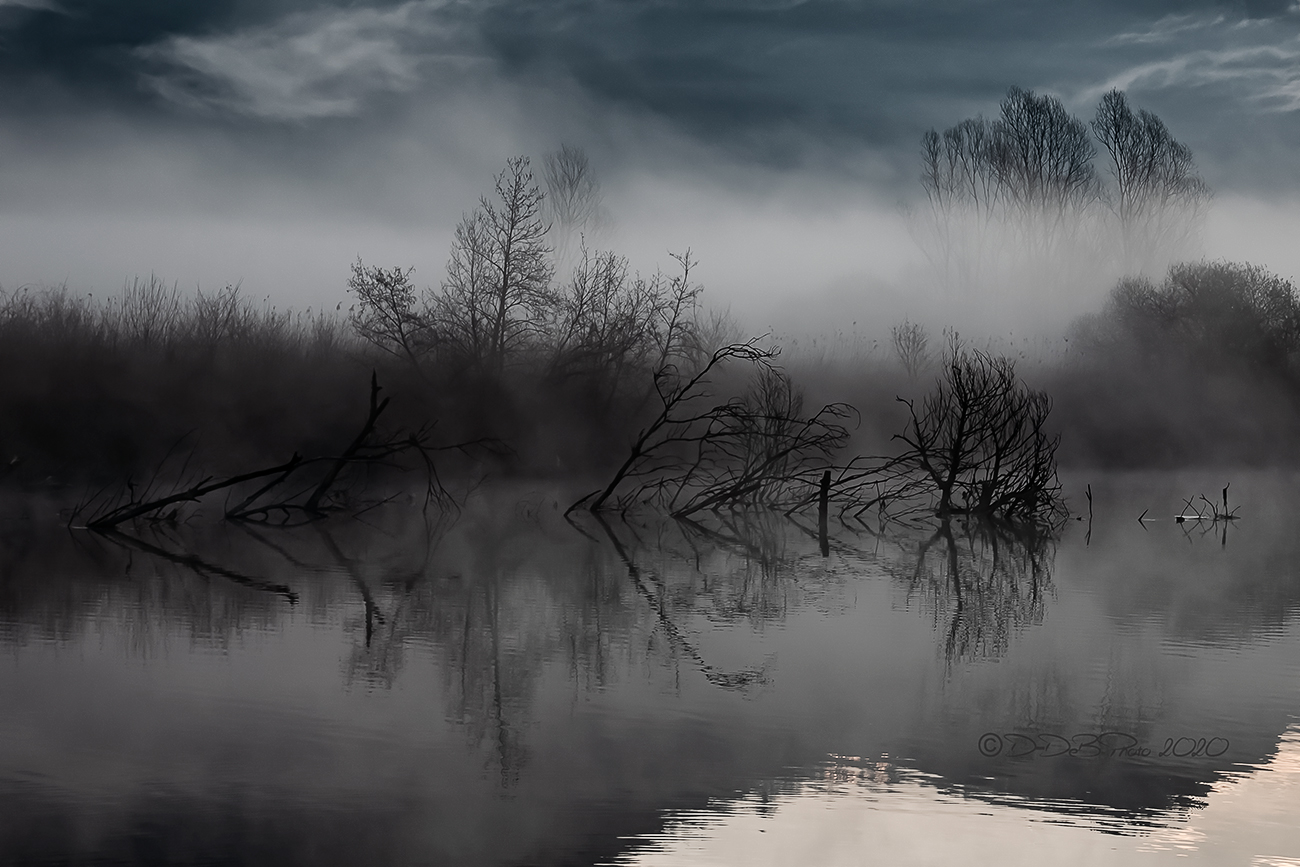 Come le nebbie di Avalon