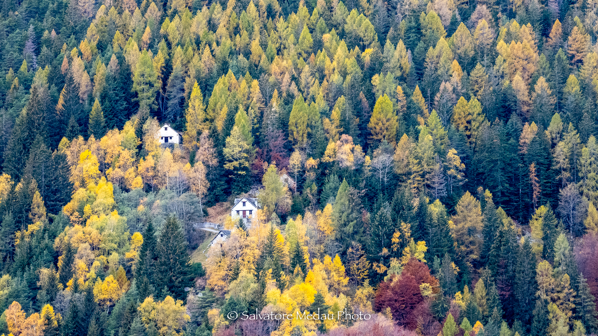 Autumn colors in Val Vigezzo